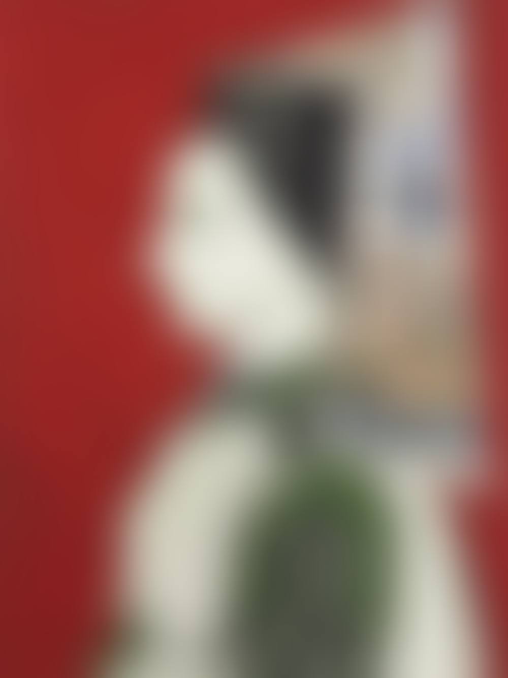 Profil (preview)