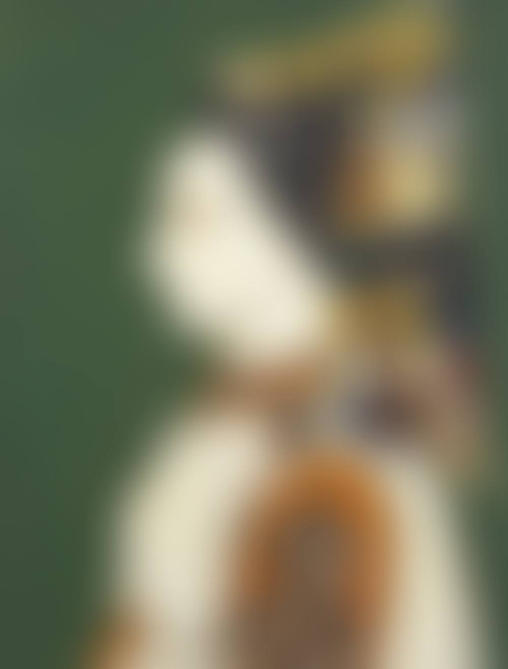 Profil (preview)