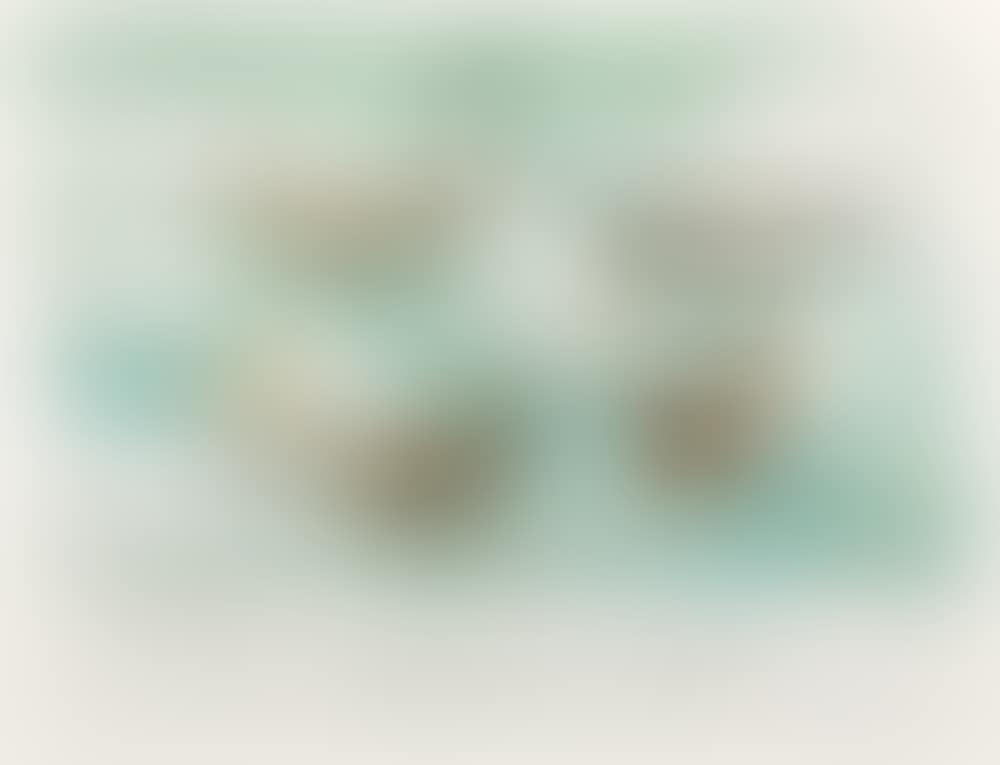 Voiles à la mer (preview)