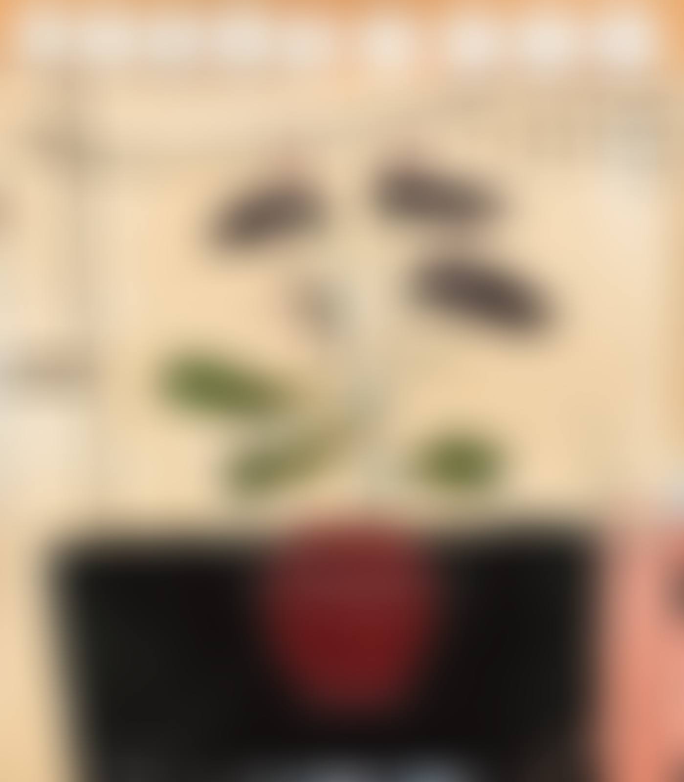 Almost Dutch (preview)