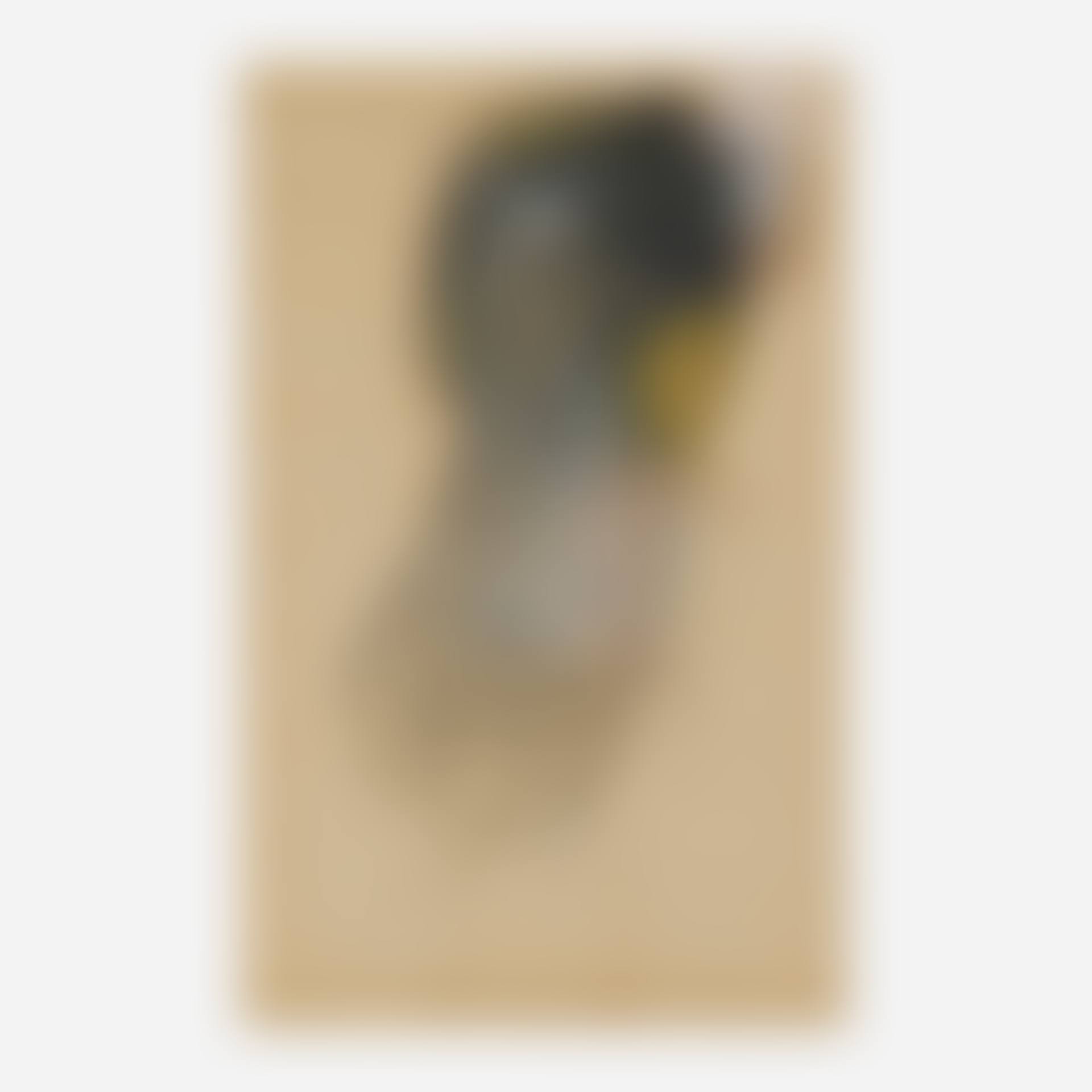 Untitled (preview)