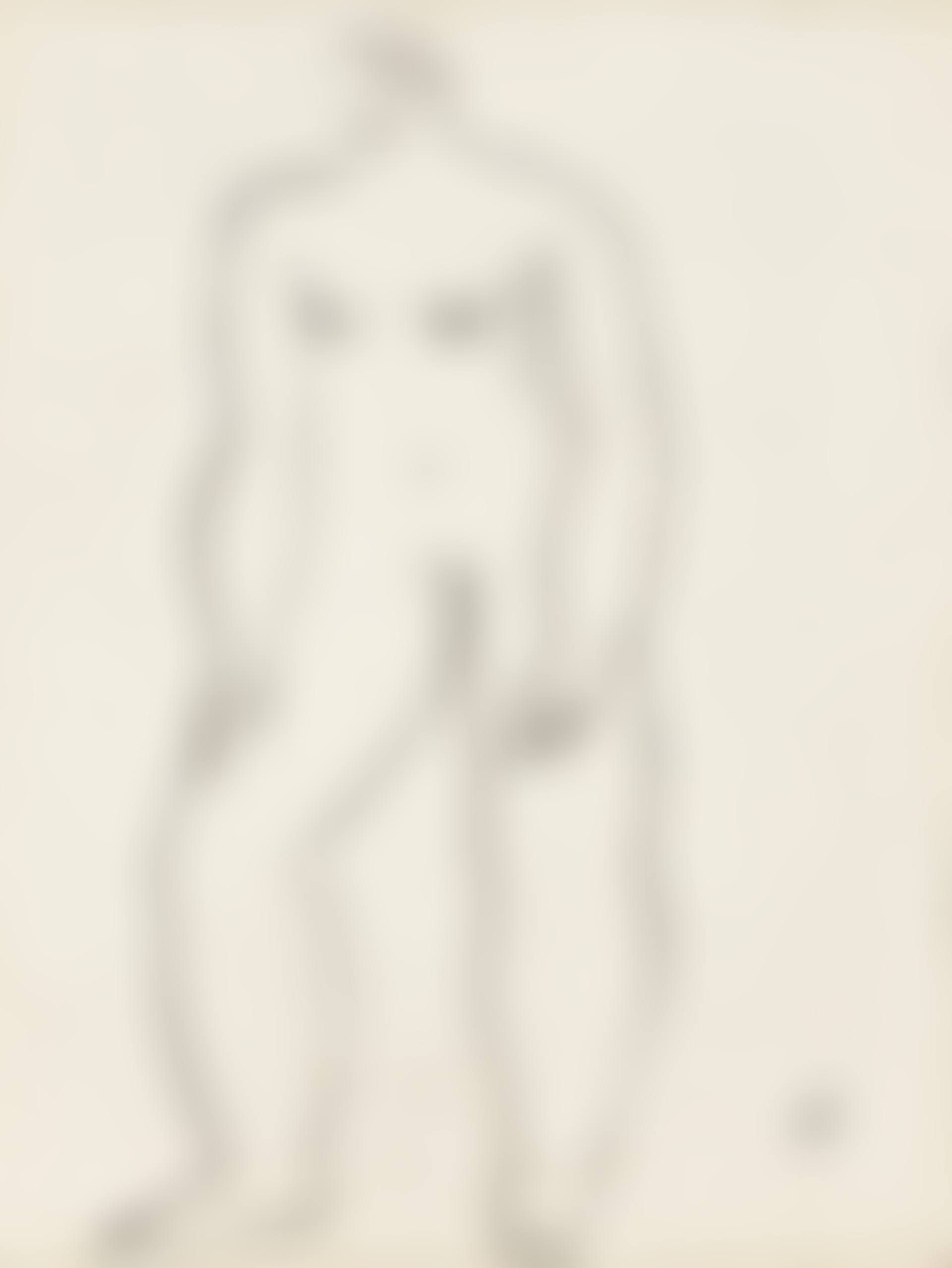 Standing Nude (preview)