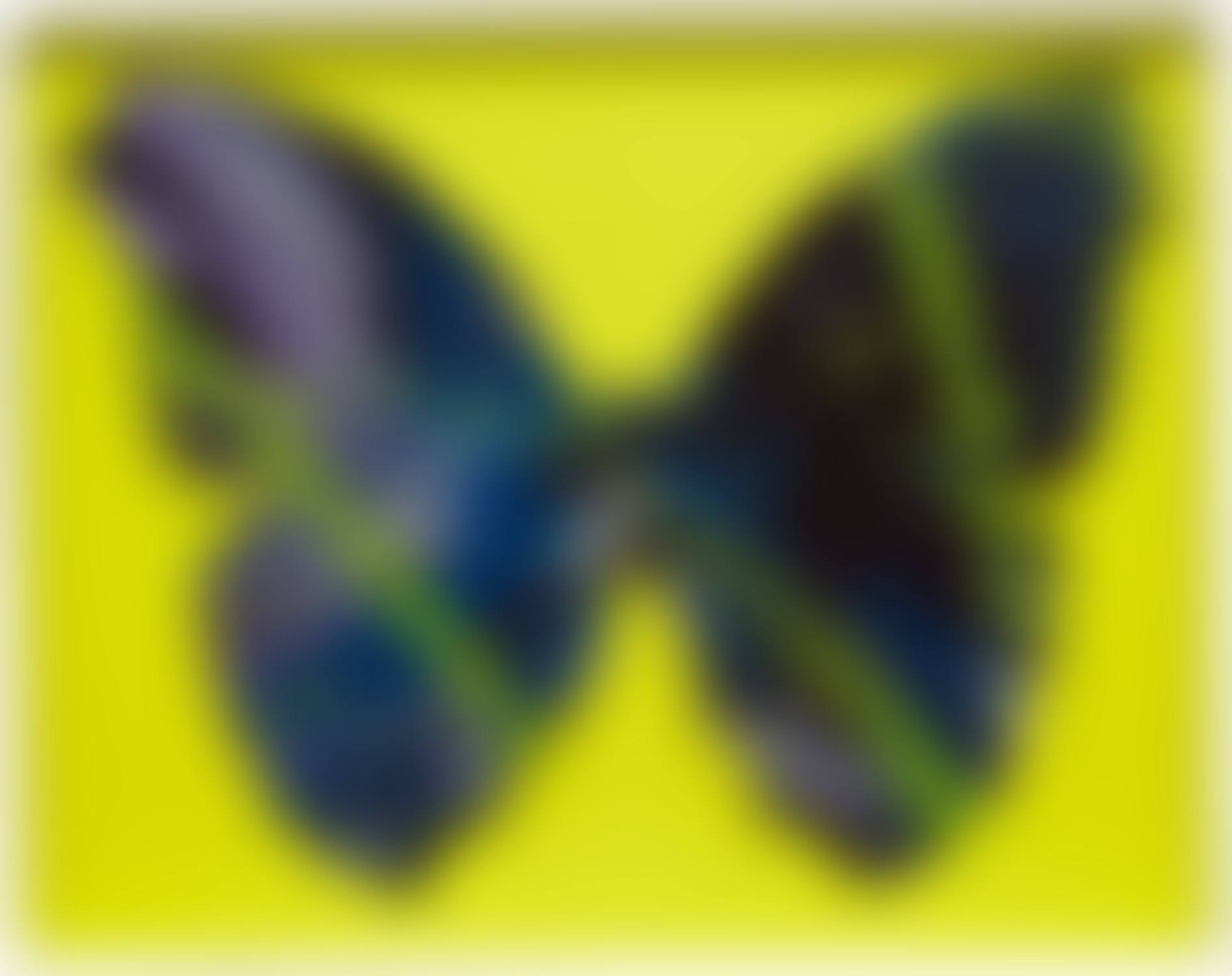 Beautiful Spin Through the Dark Butterfly for Naomi (preview)