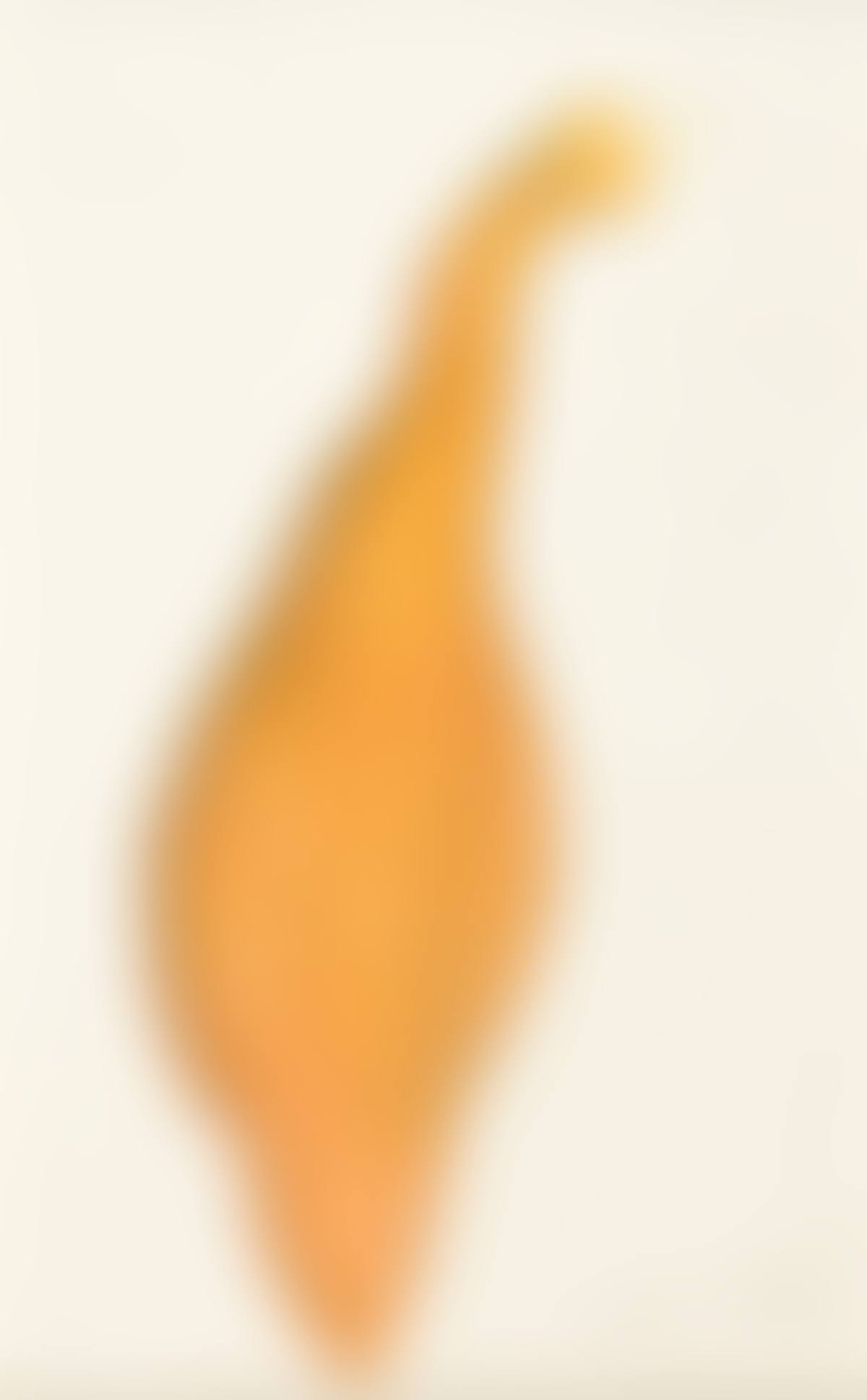 Untitled, (Squash) (preview)