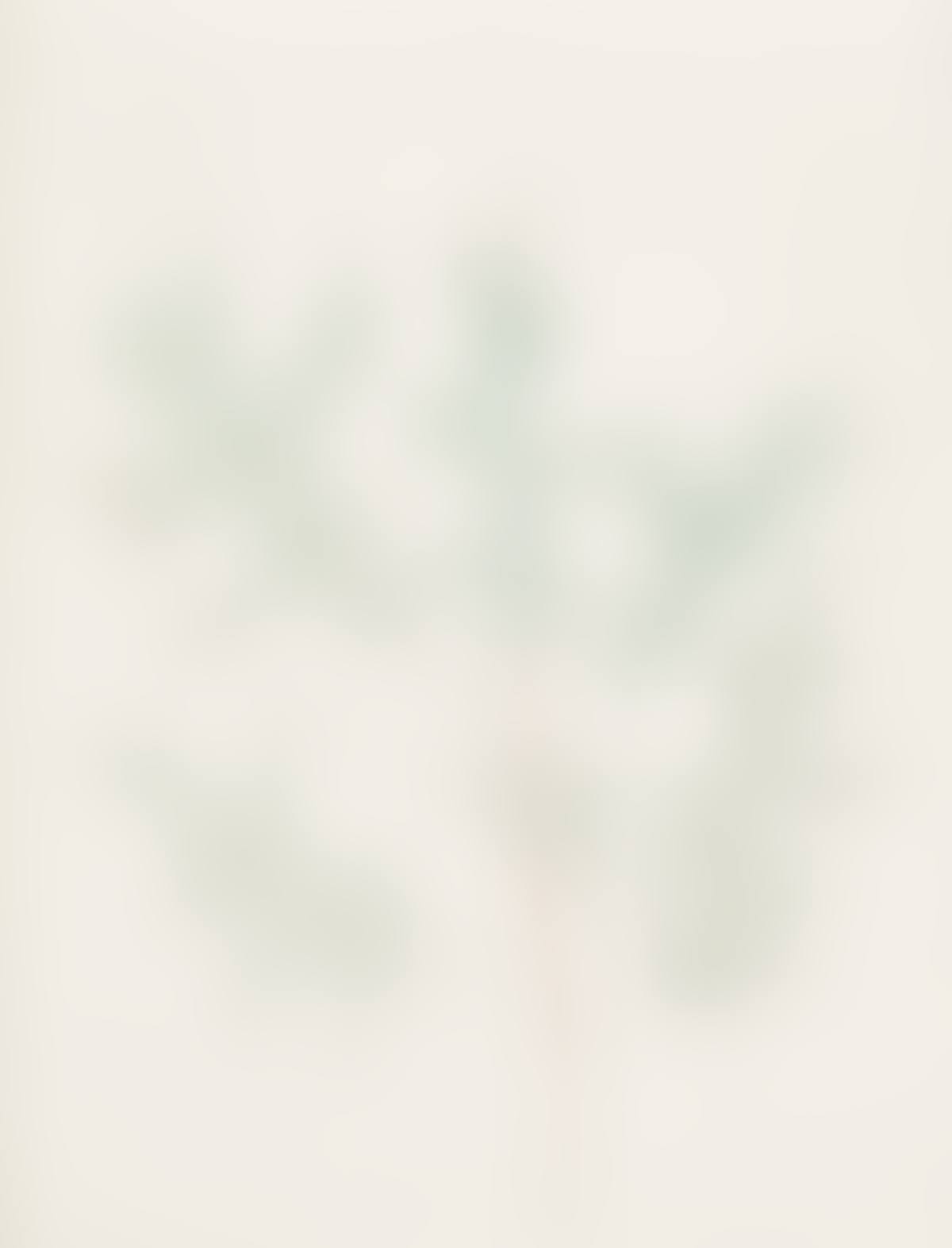 Untitled, (Oak Leaves) (preview)