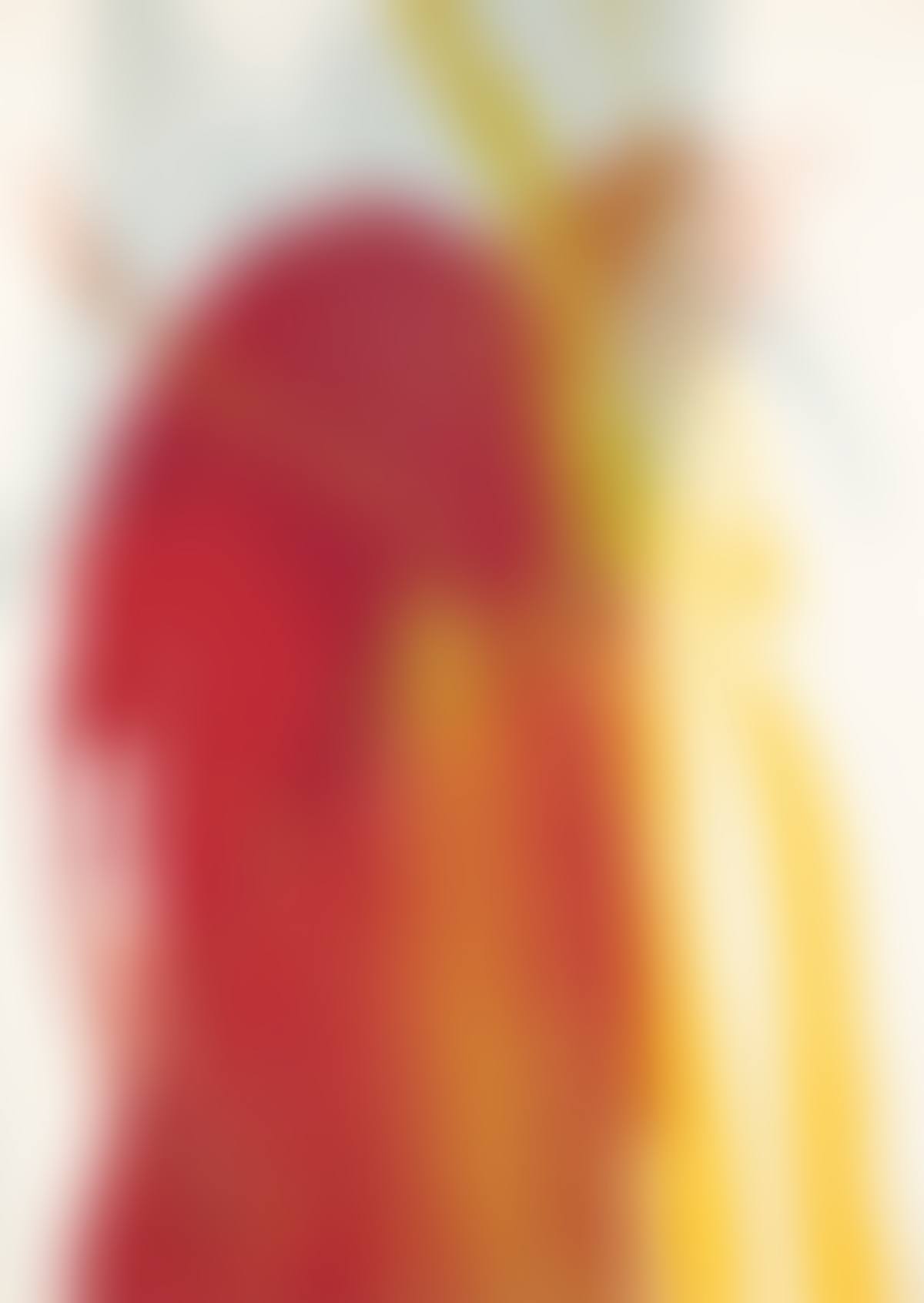 Red Parrot (preview)