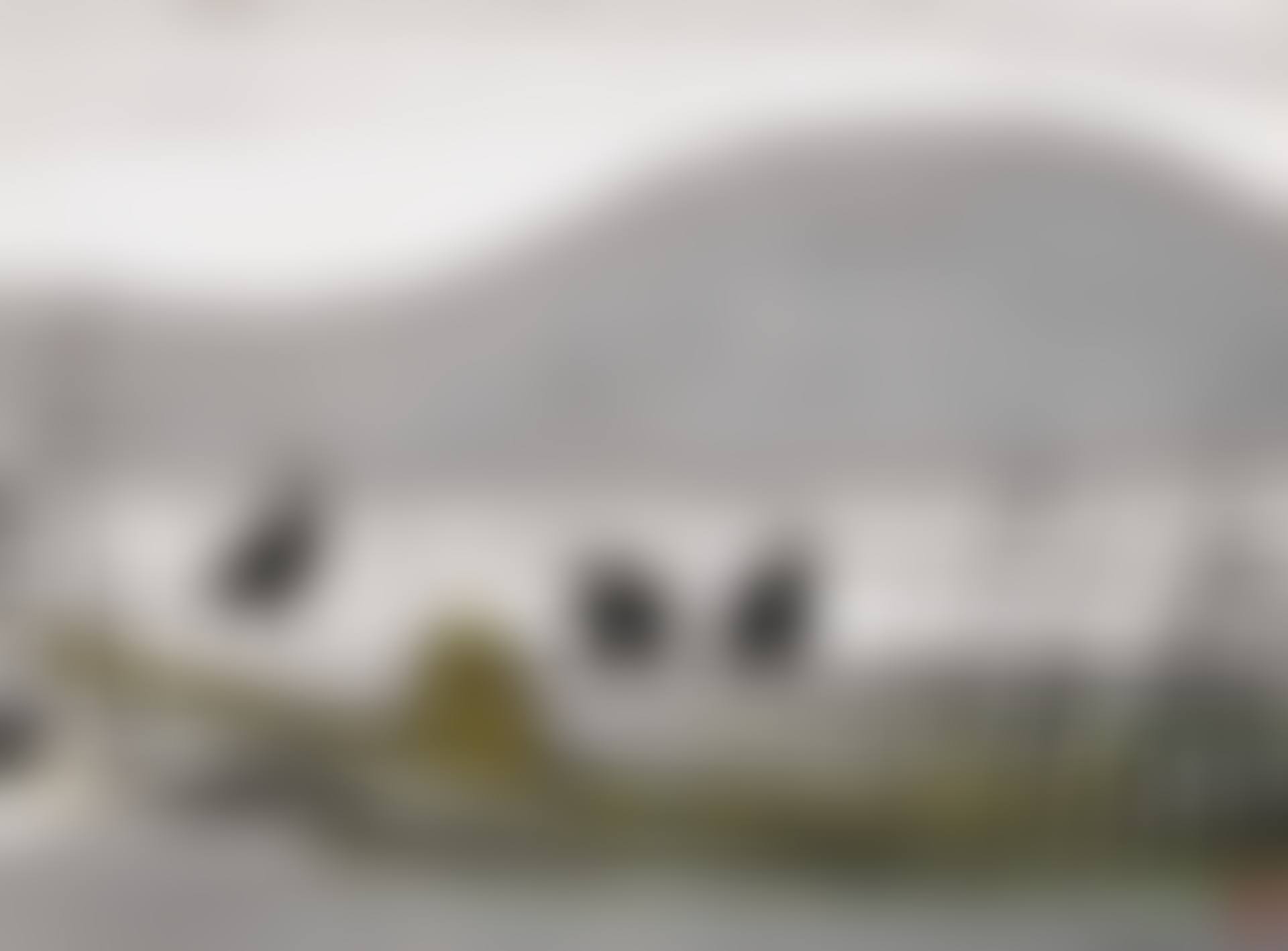 Cormorants and Reeds on a Boat (preview)