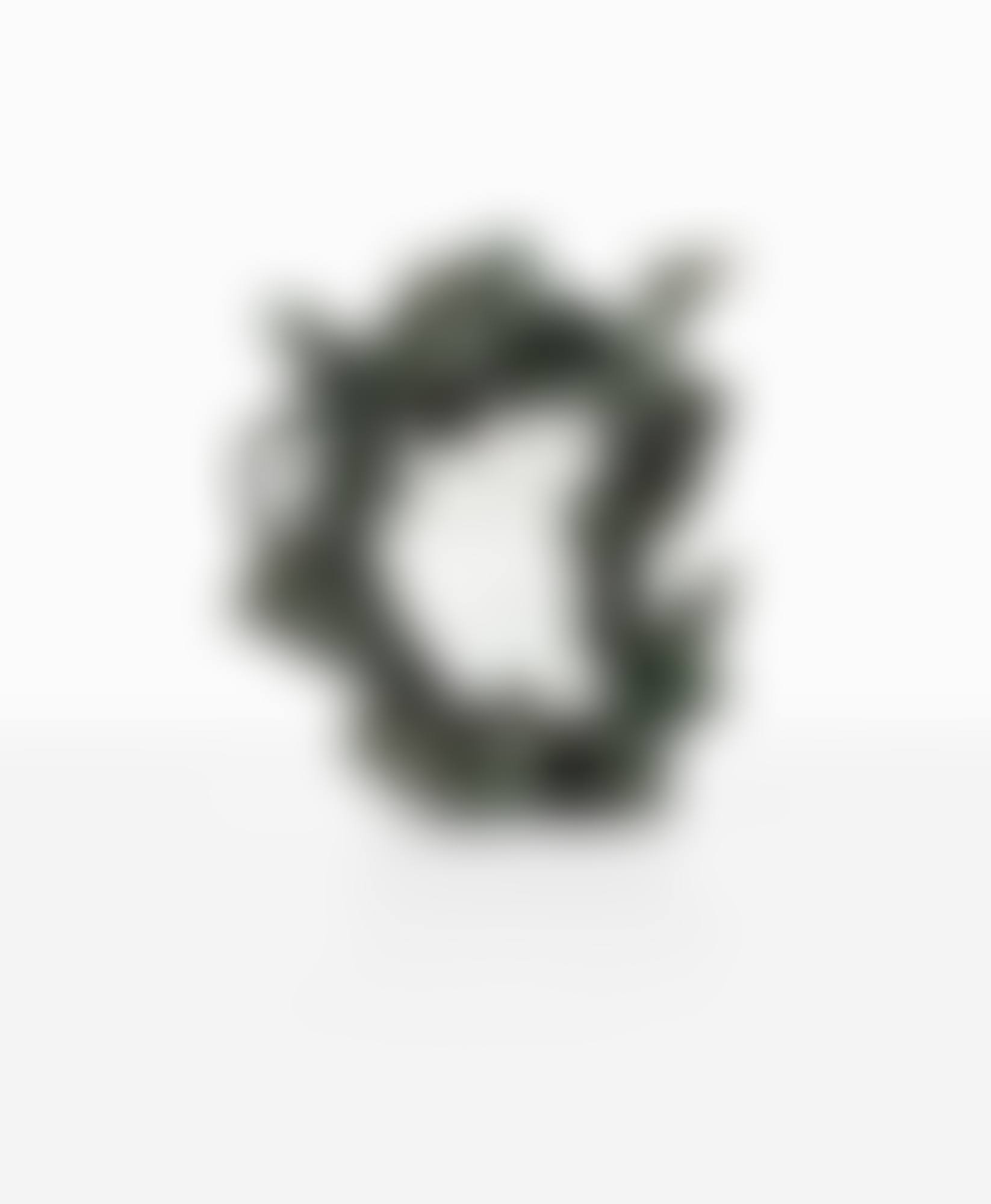 Aux chevaux mirror (preview)