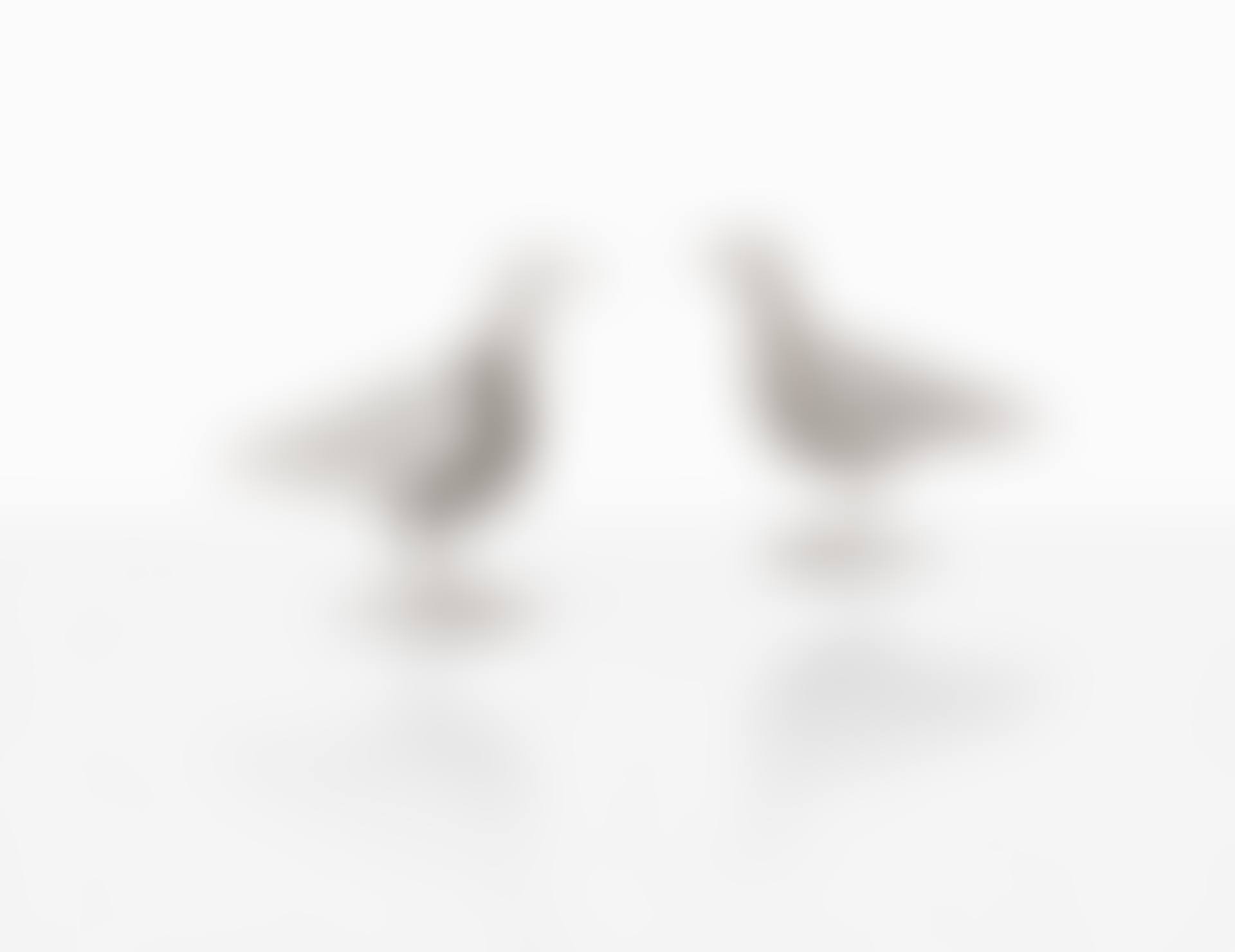 Pair of Oiseaux d"argent candelabras (preview)