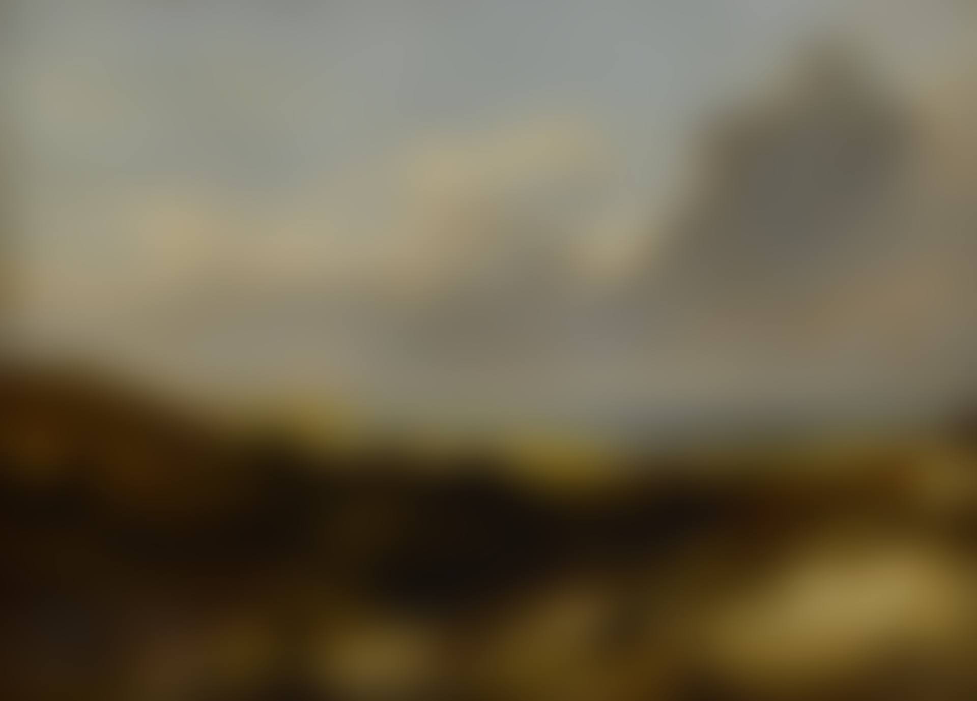 Coastal Landscape (preview)