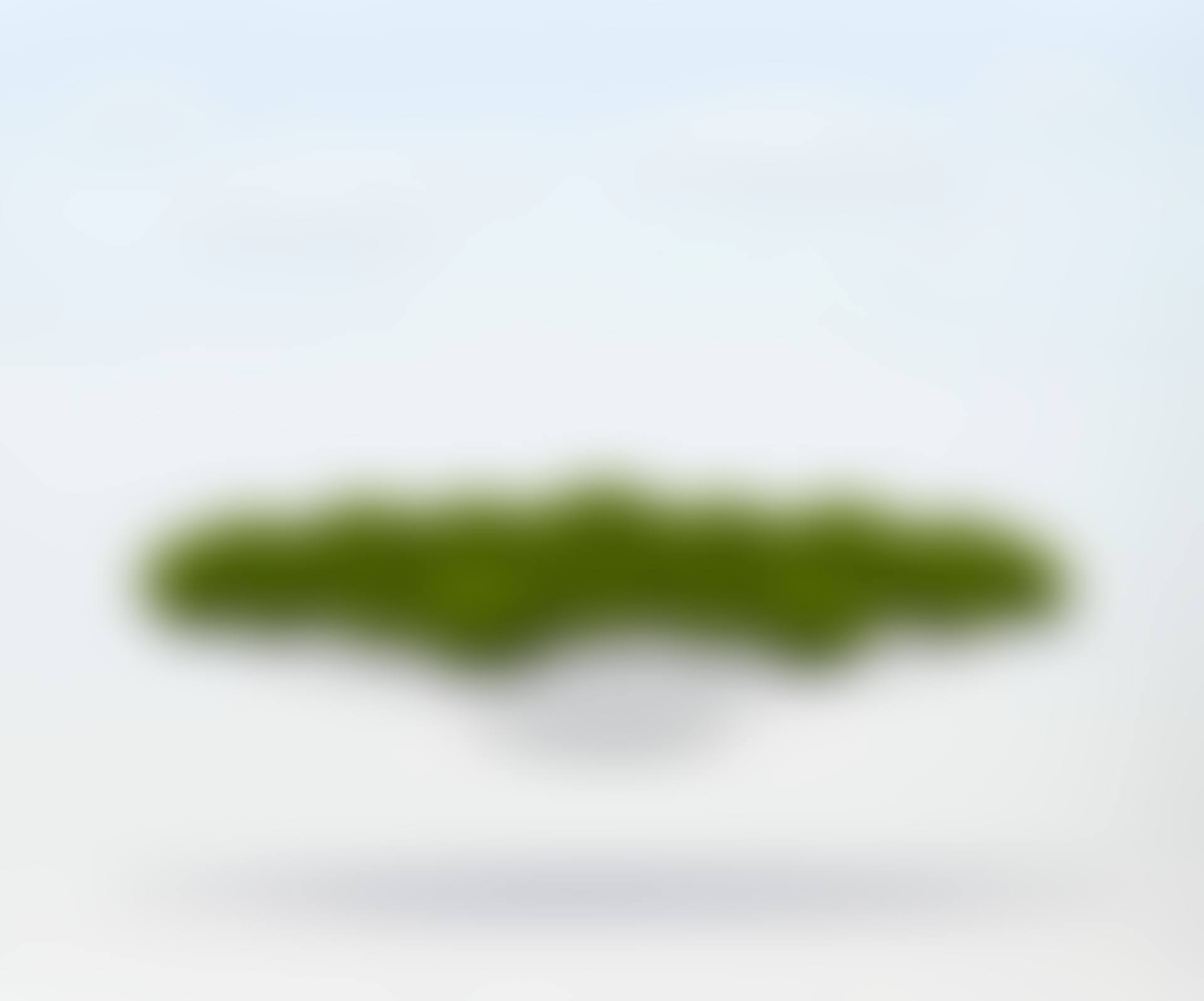 Moss on Plate 2021122802 (preview)