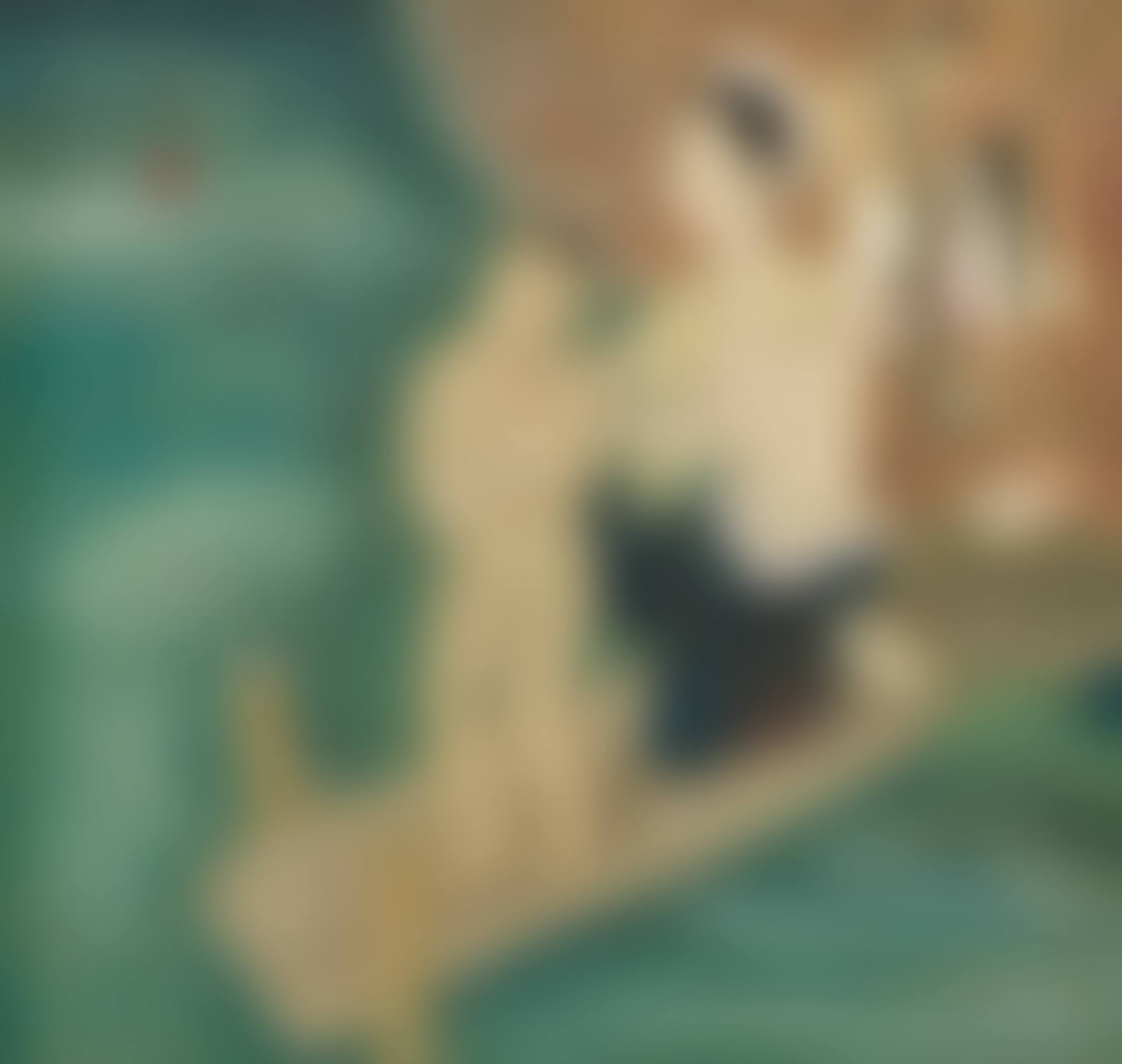 Le Bain (The Bath) (preview)
