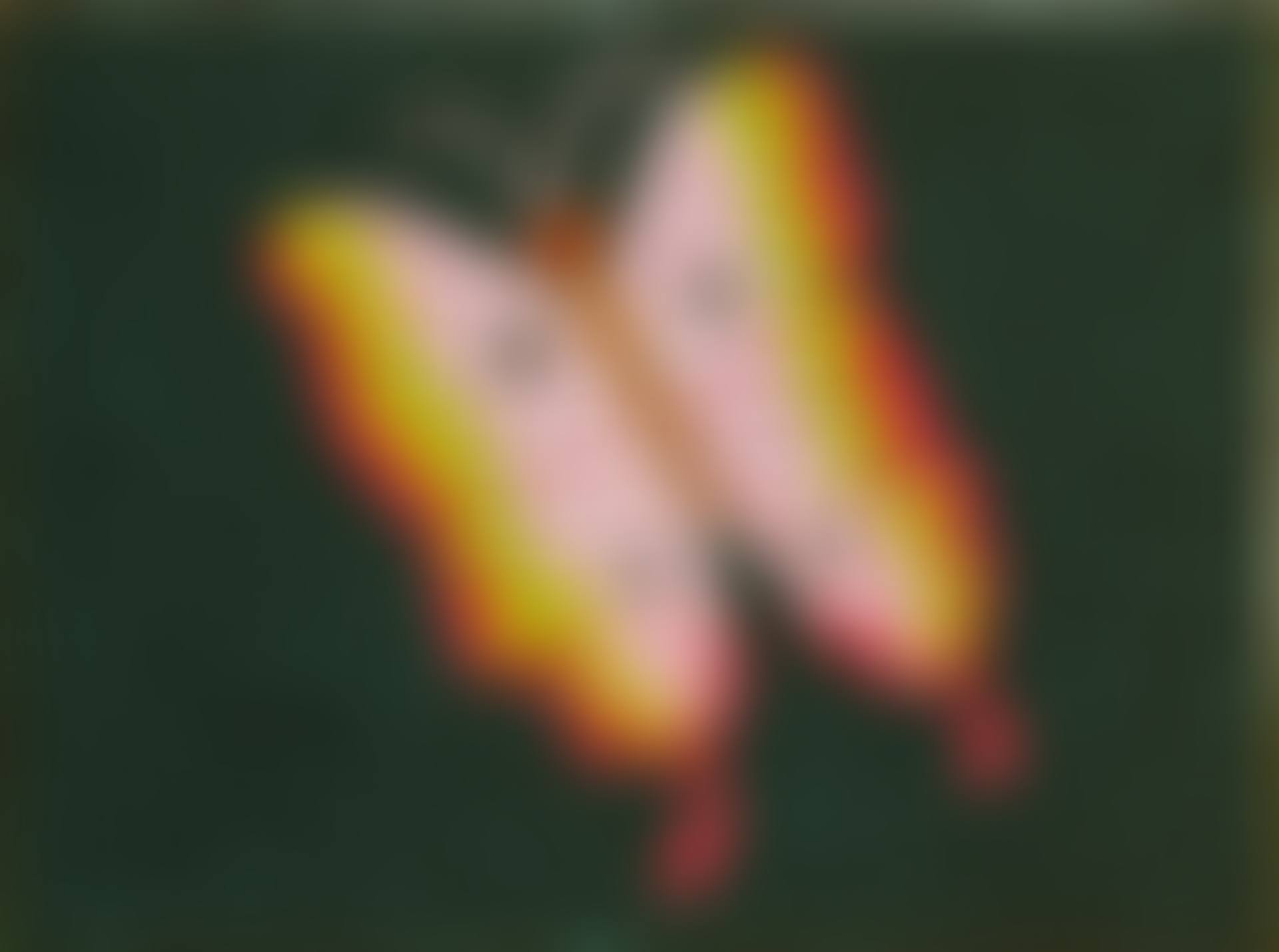 A Butterfly (preview)