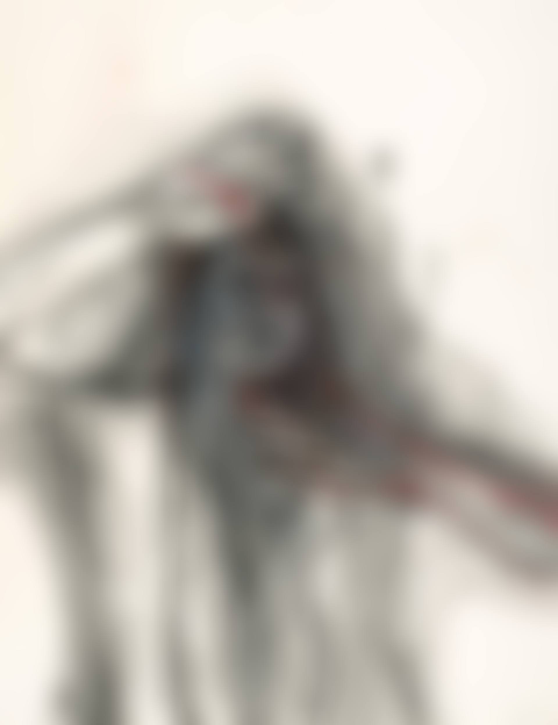Face (preview)