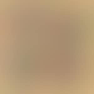 Untitled (ULAE S.13) (preview)