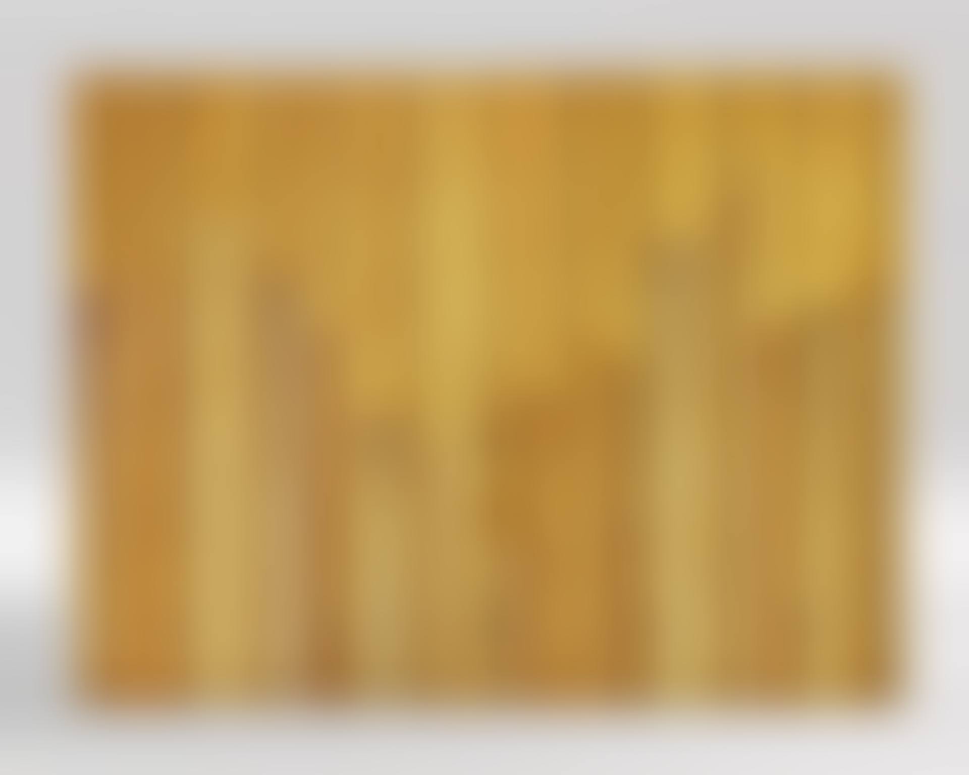 Unique pair of doors (preview)