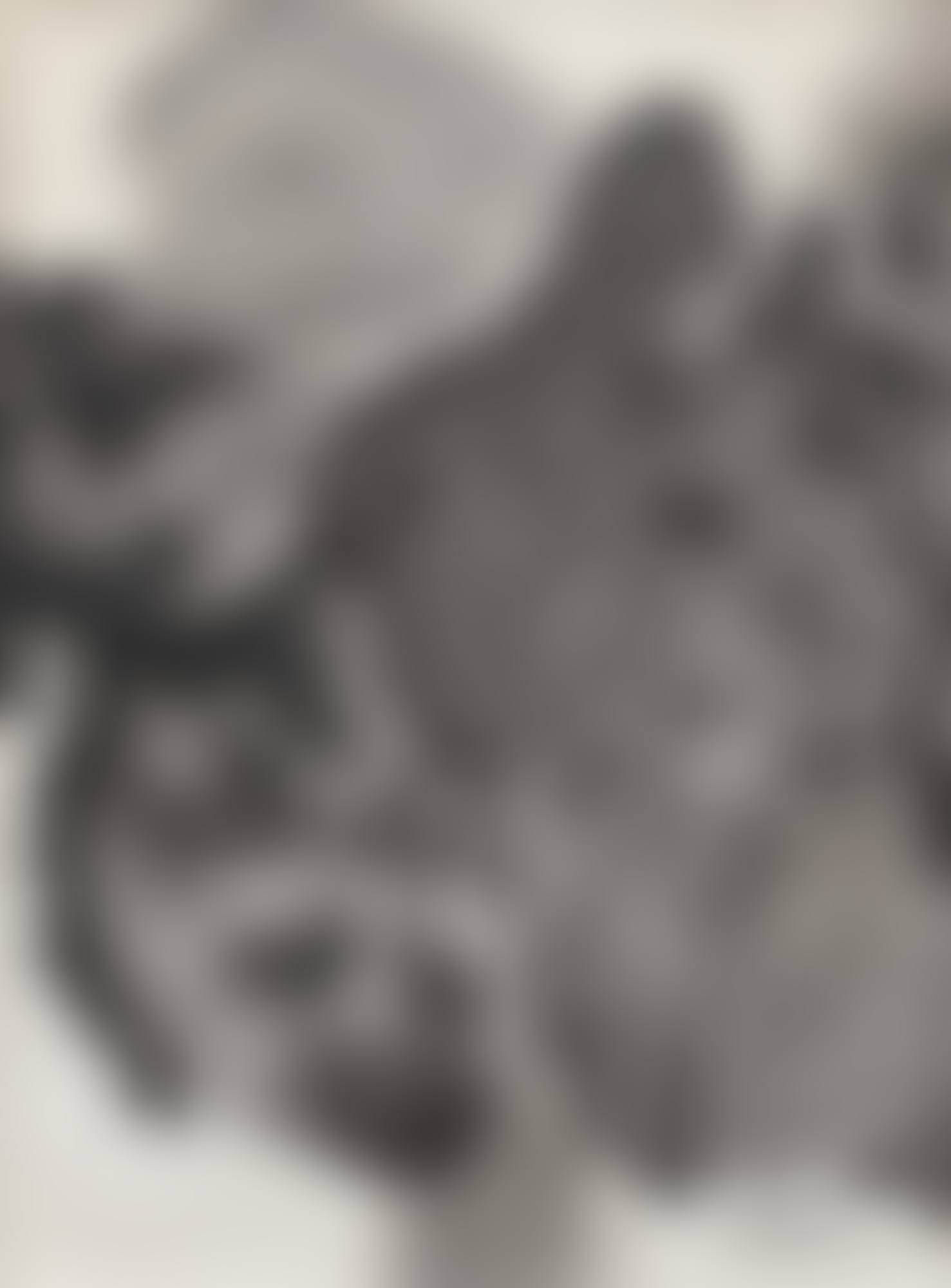 Sans Titre (preview)