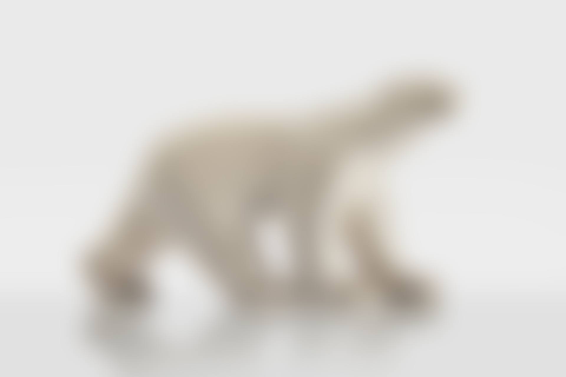 Ours Blanc (preview)