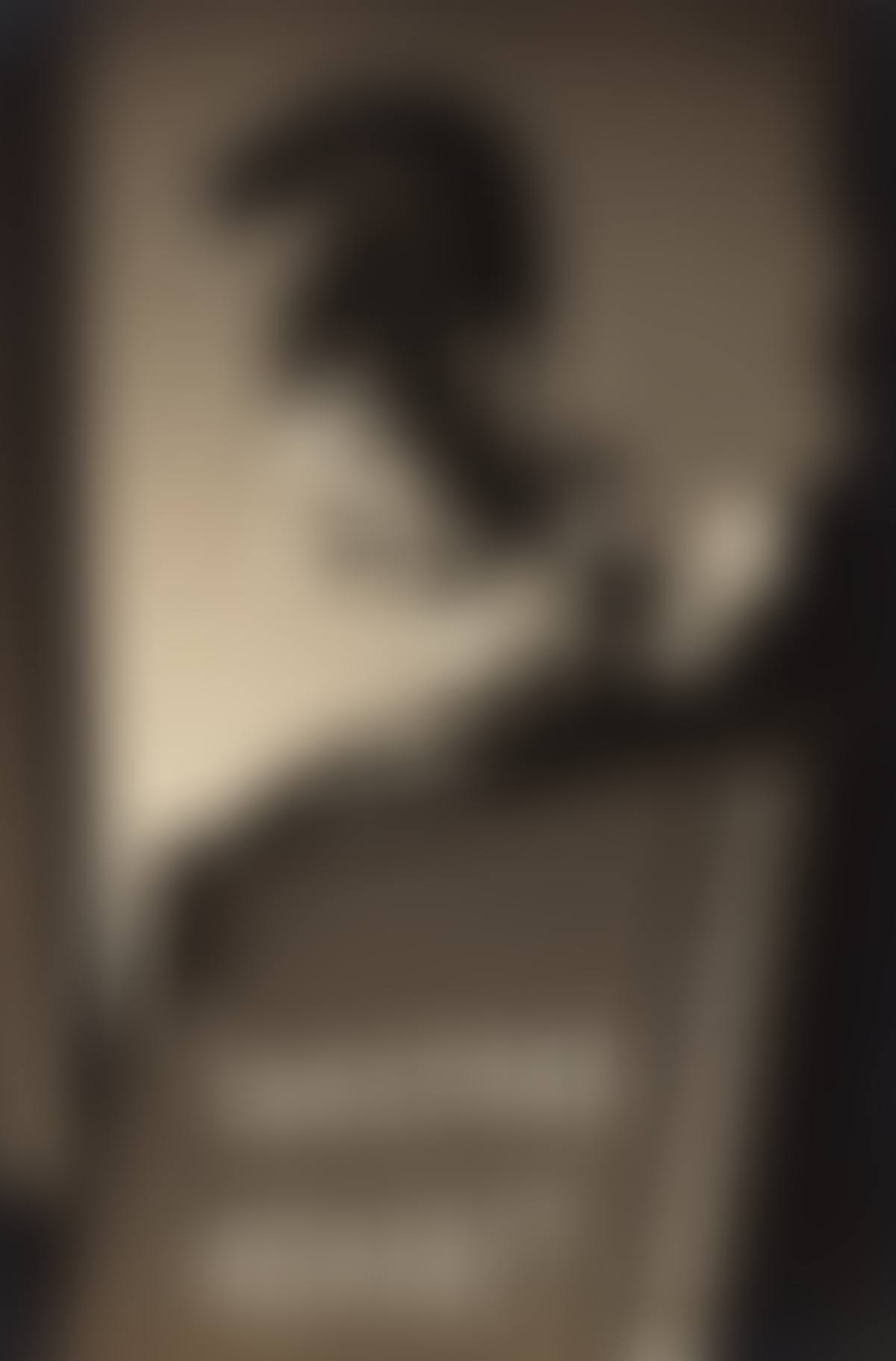 Still Life PAUL OUTERBRIDGE JR (preview)