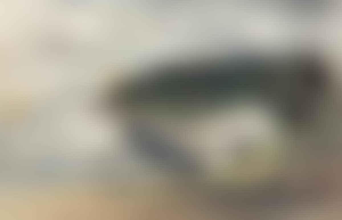 Maine Landscape (preview)