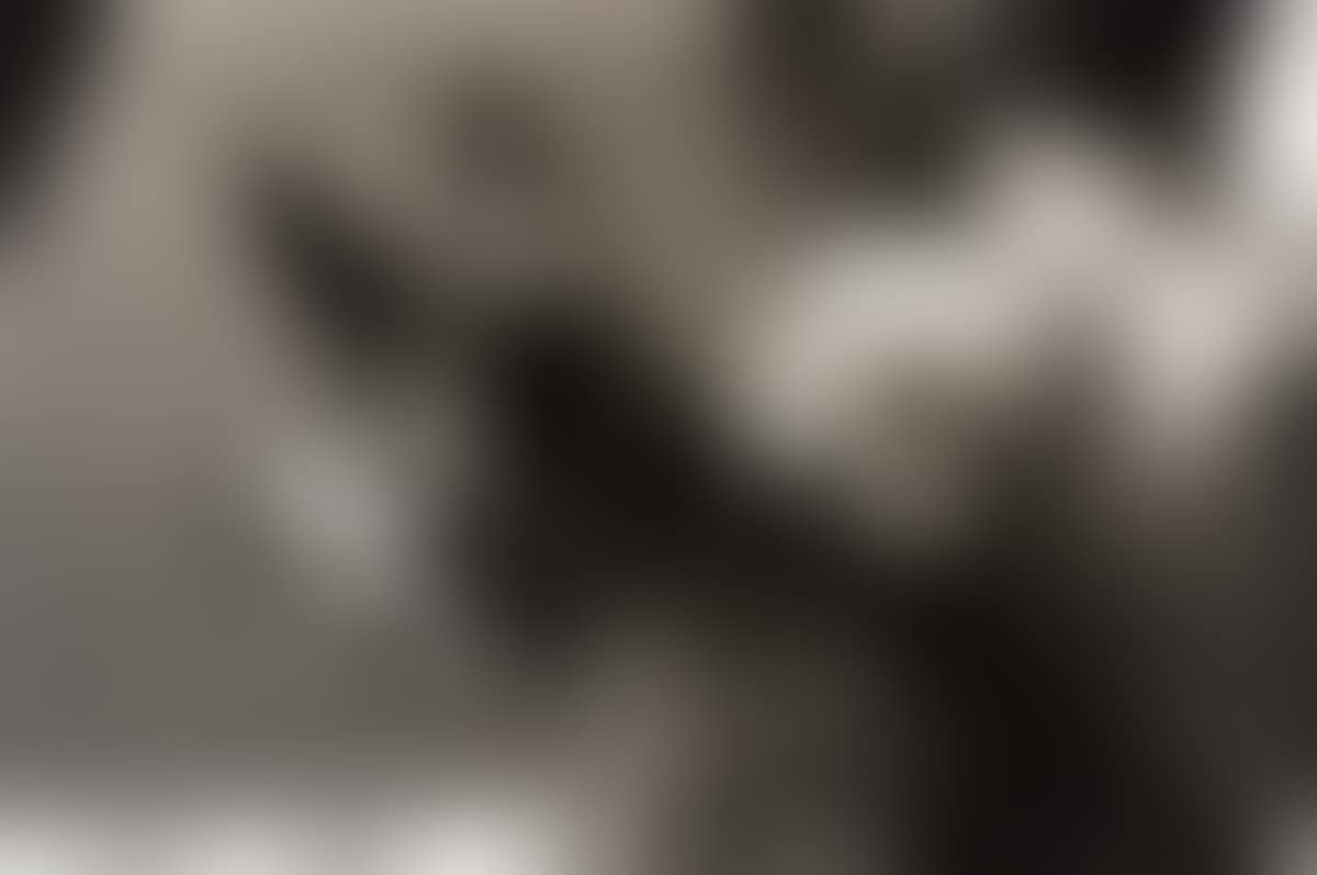 Howard Beach (preview)