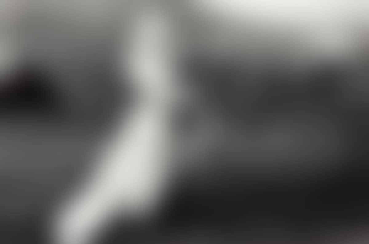 Cathy & Reed: Happy Life Together (preview)