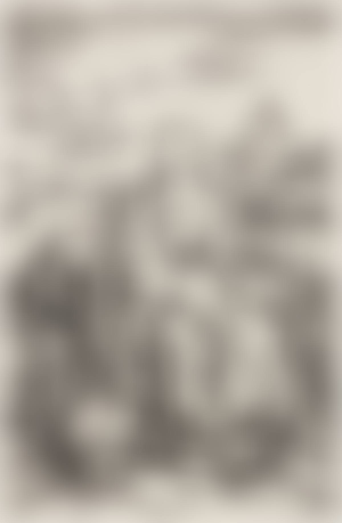 The Virgin and Child with the Monkey (preview)