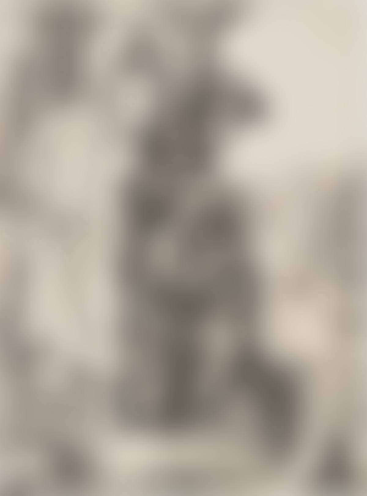Susanna and the Elders (preview)