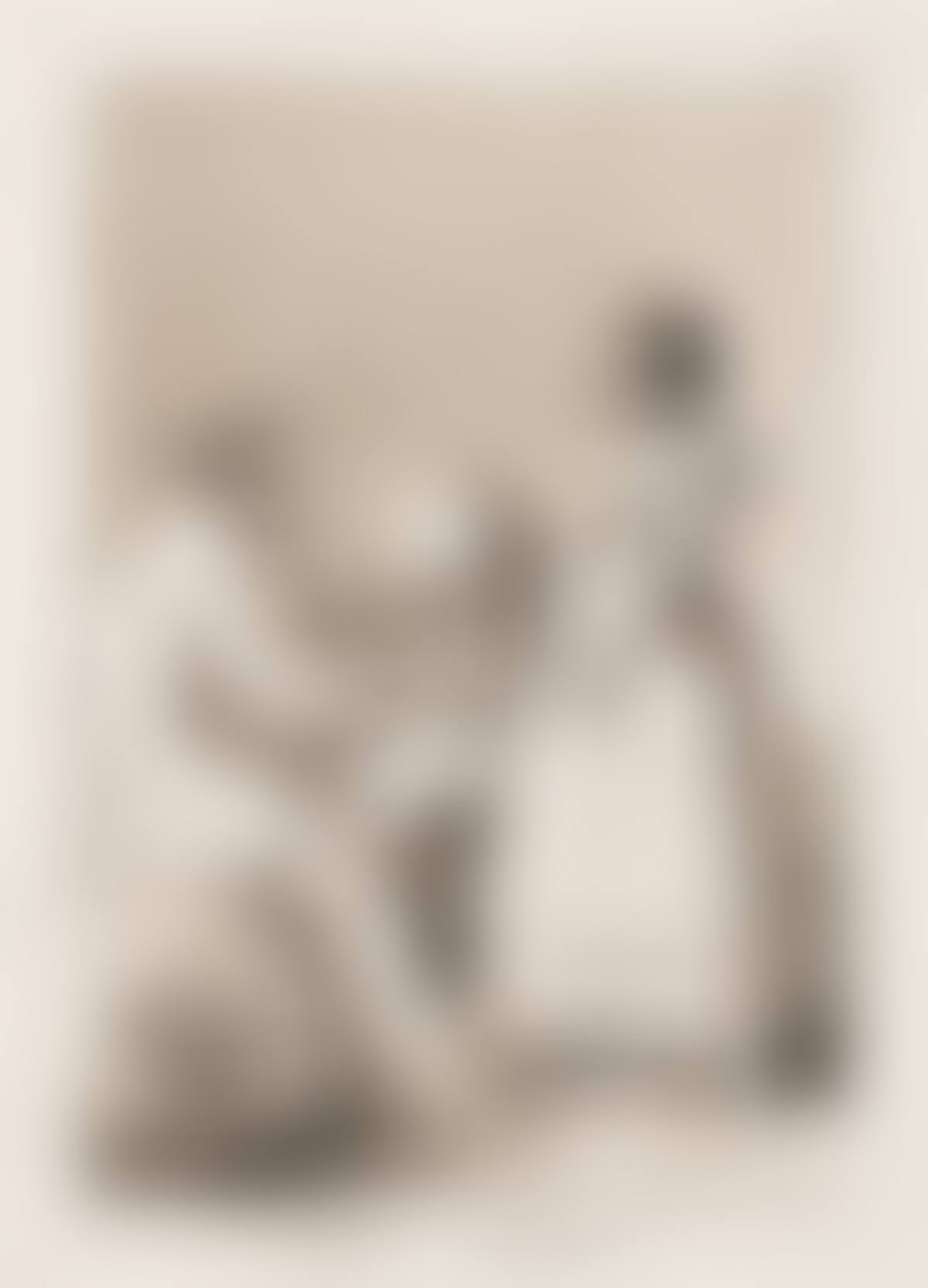 Los Caprichos  (preview)