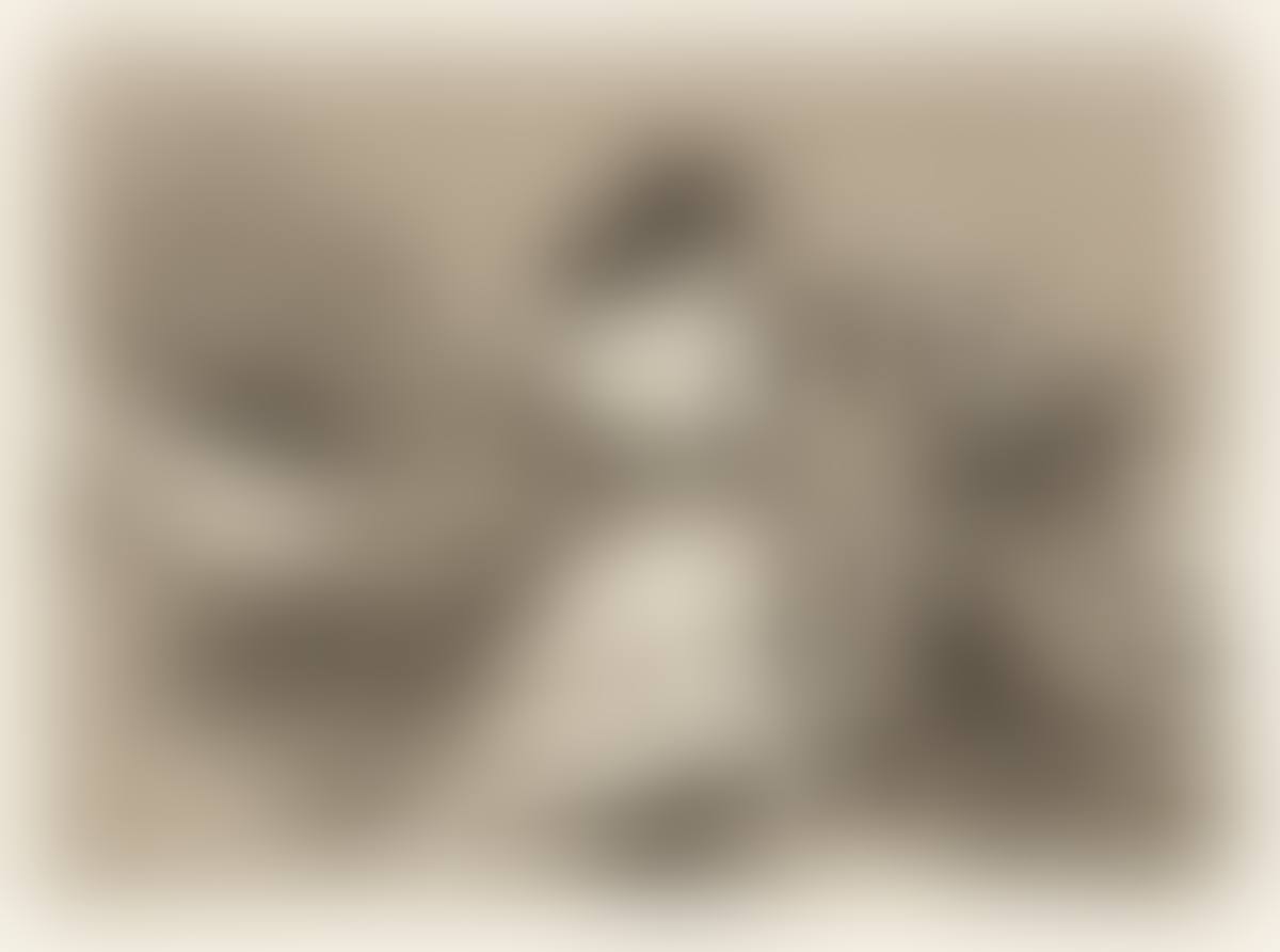 No Quieren (preview)
