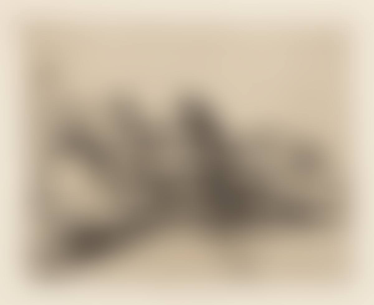  Los Desastres de la Guerra (preview)