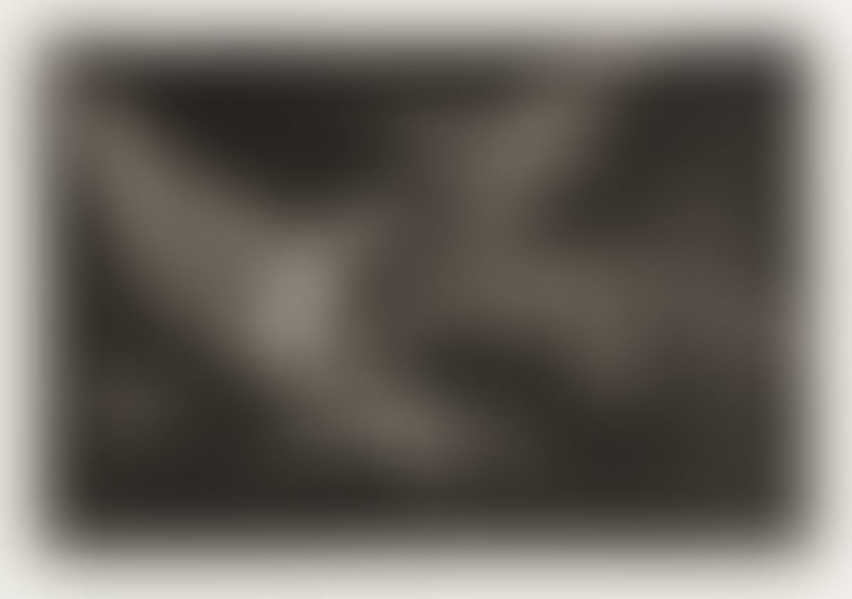 Modo de Volar  (preview)
