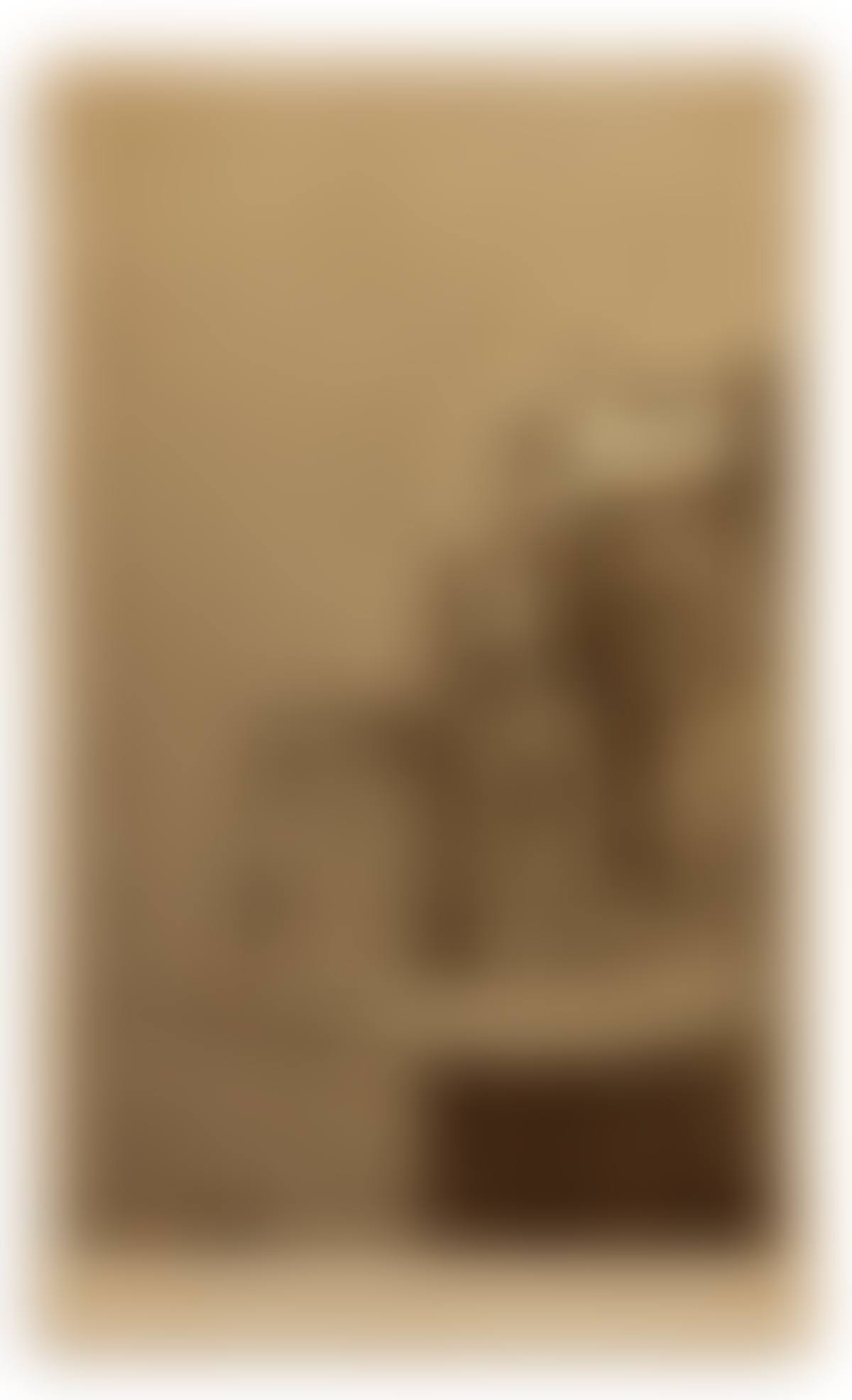 (AMERICAN REVOLUTION RELICS) A carte-de-visite depicting George Washington's camp lantern, knife, and fork, used by him in (preview)