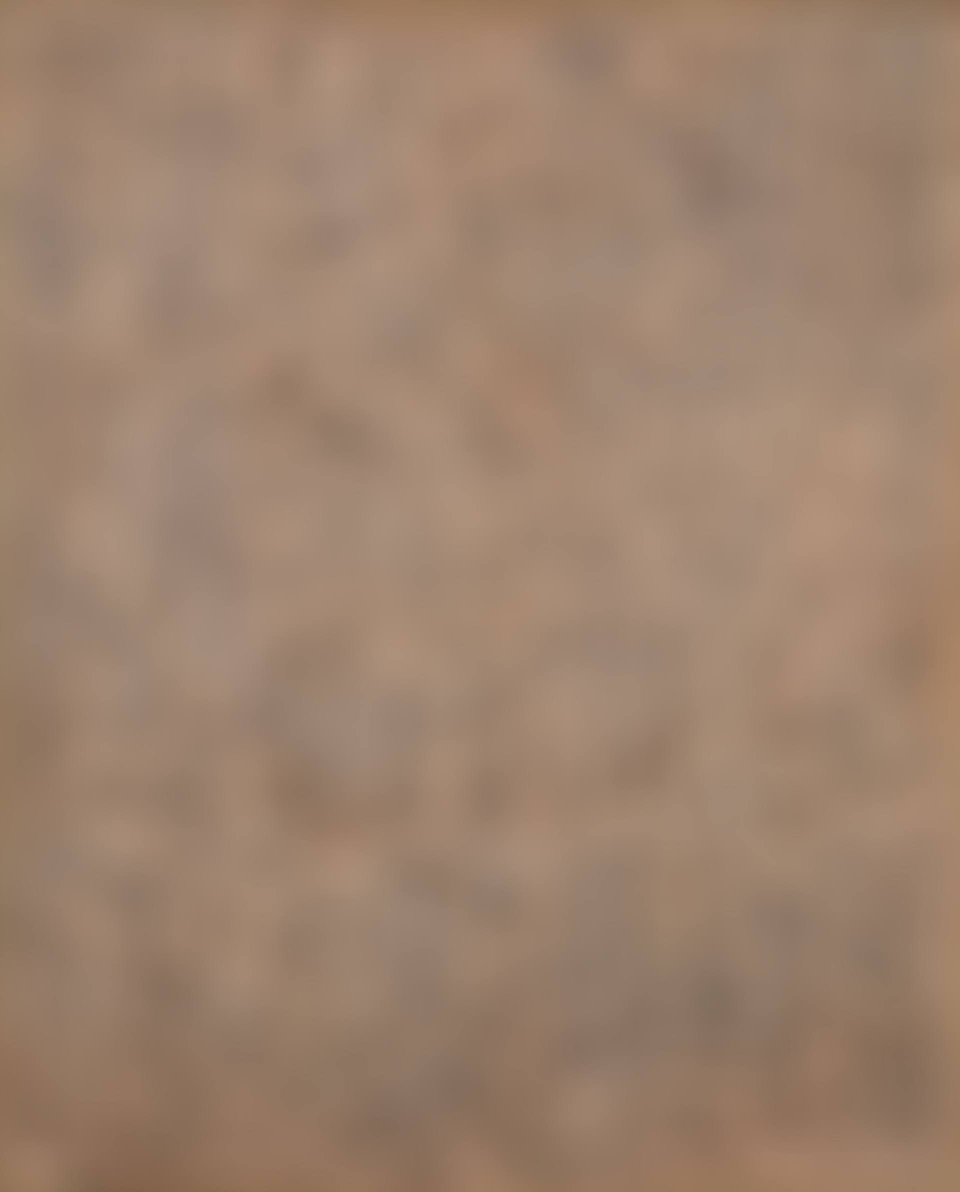 Recurrence LA89007-89 (preview)