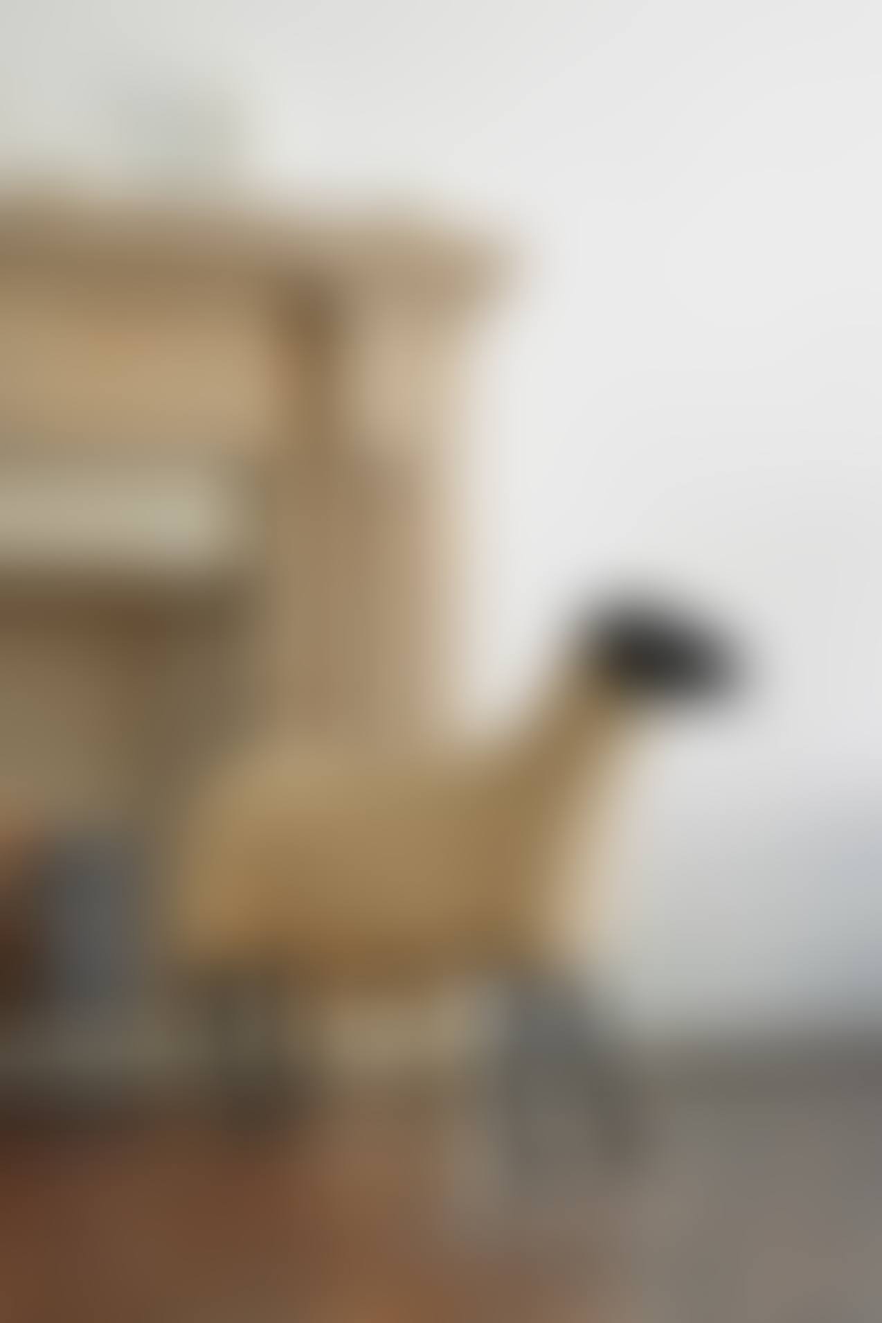 Brebis (preview)