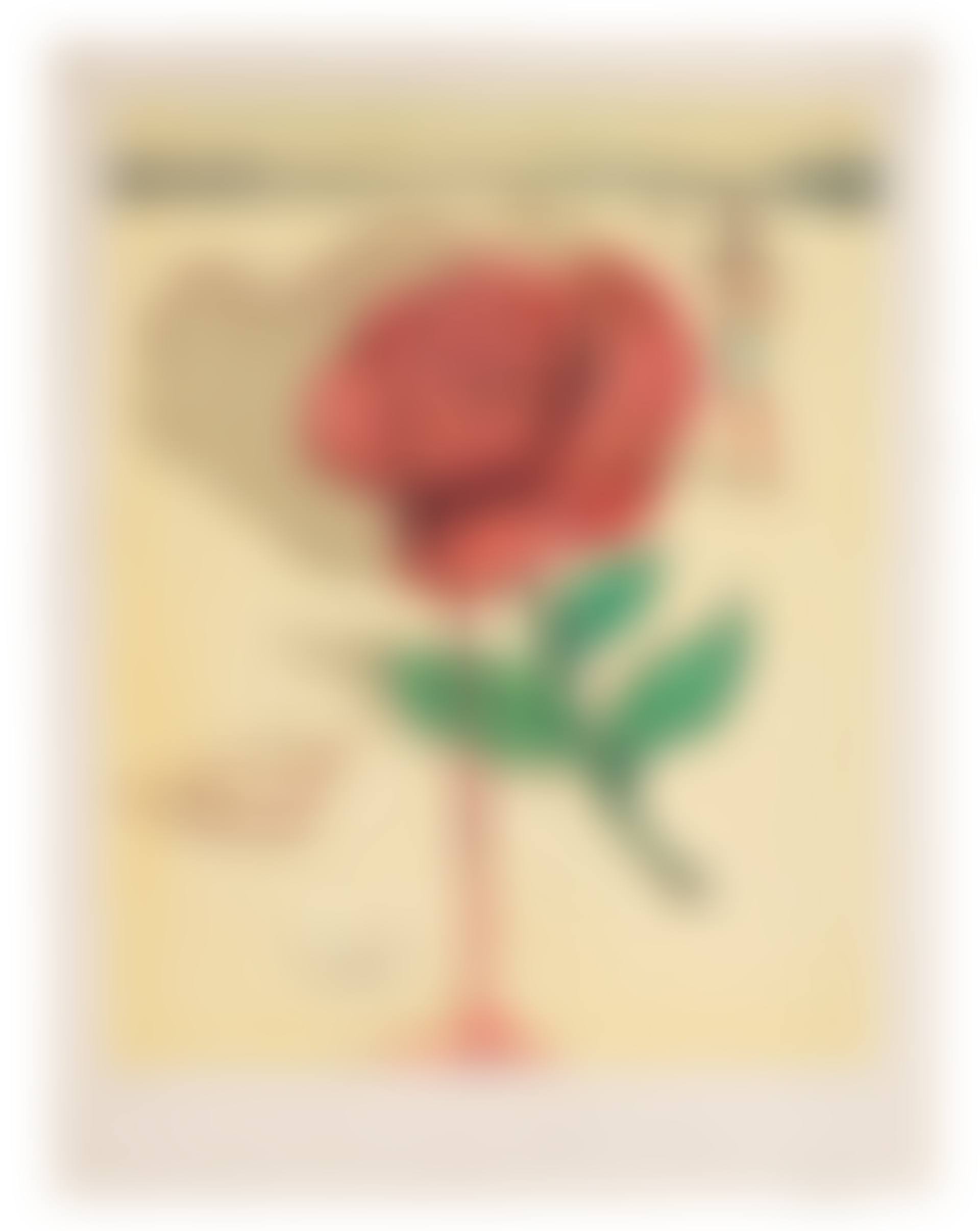 Carmen (preview)