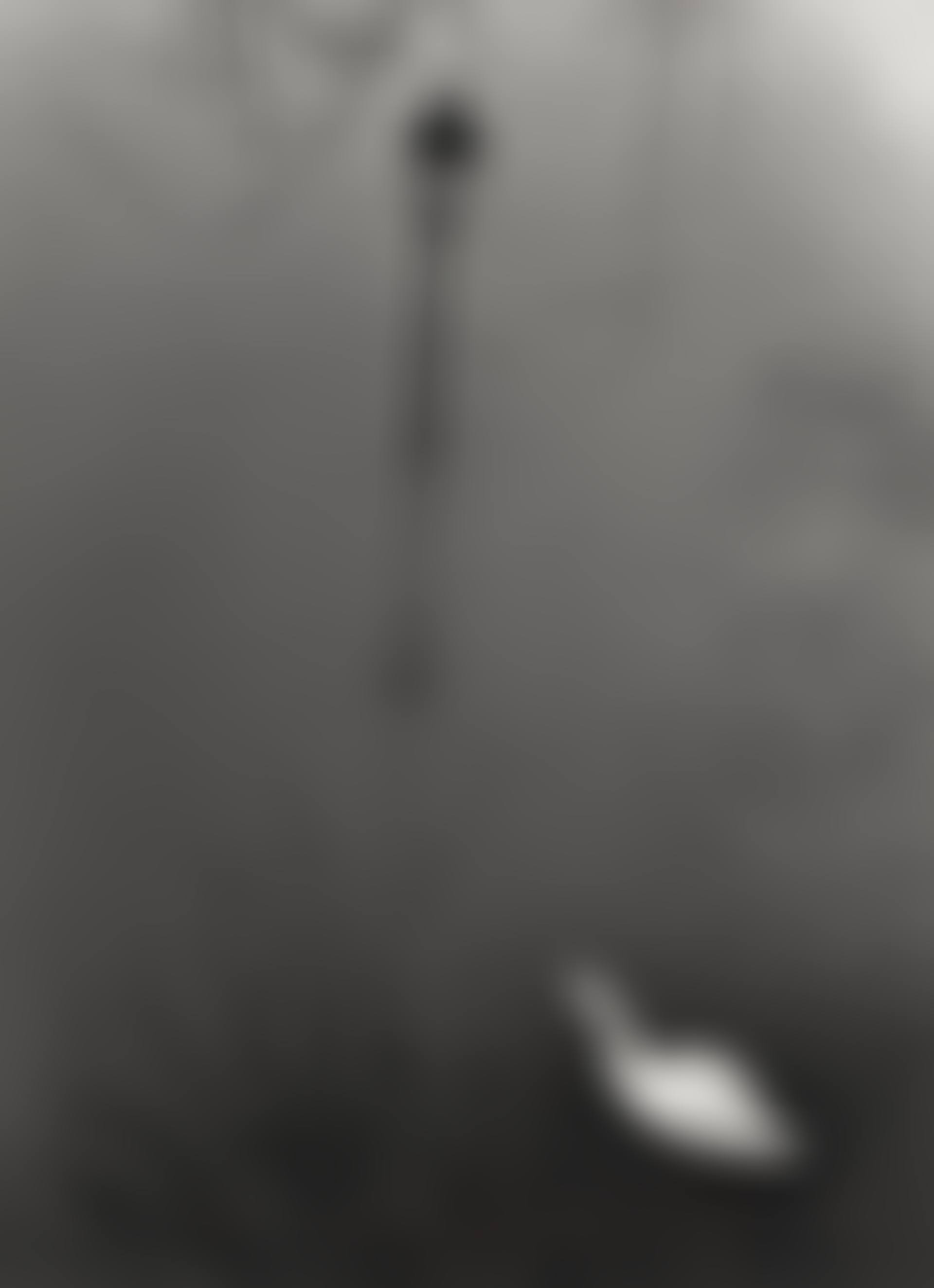 Paris  (preview)