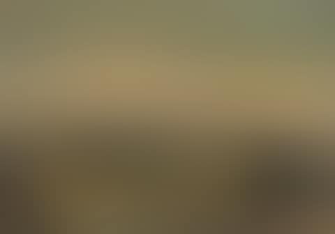Dune landscape (preview)