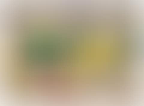 Still life with melon (preview)