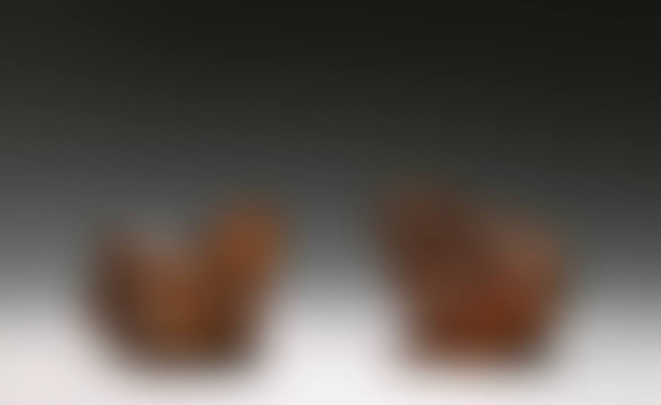 Chickens (preview)