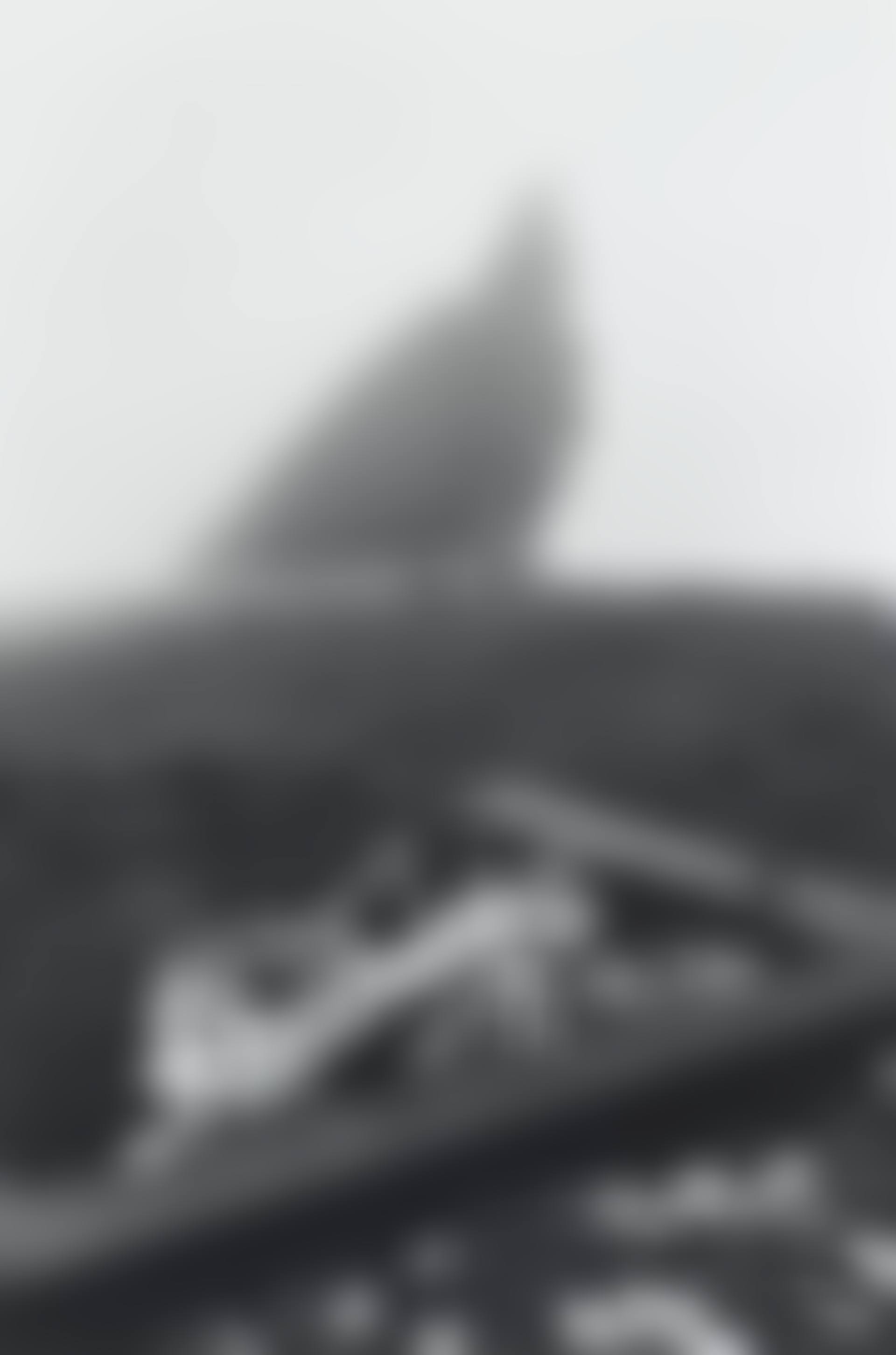 Chinese Cemetery – San Francisco (preview)