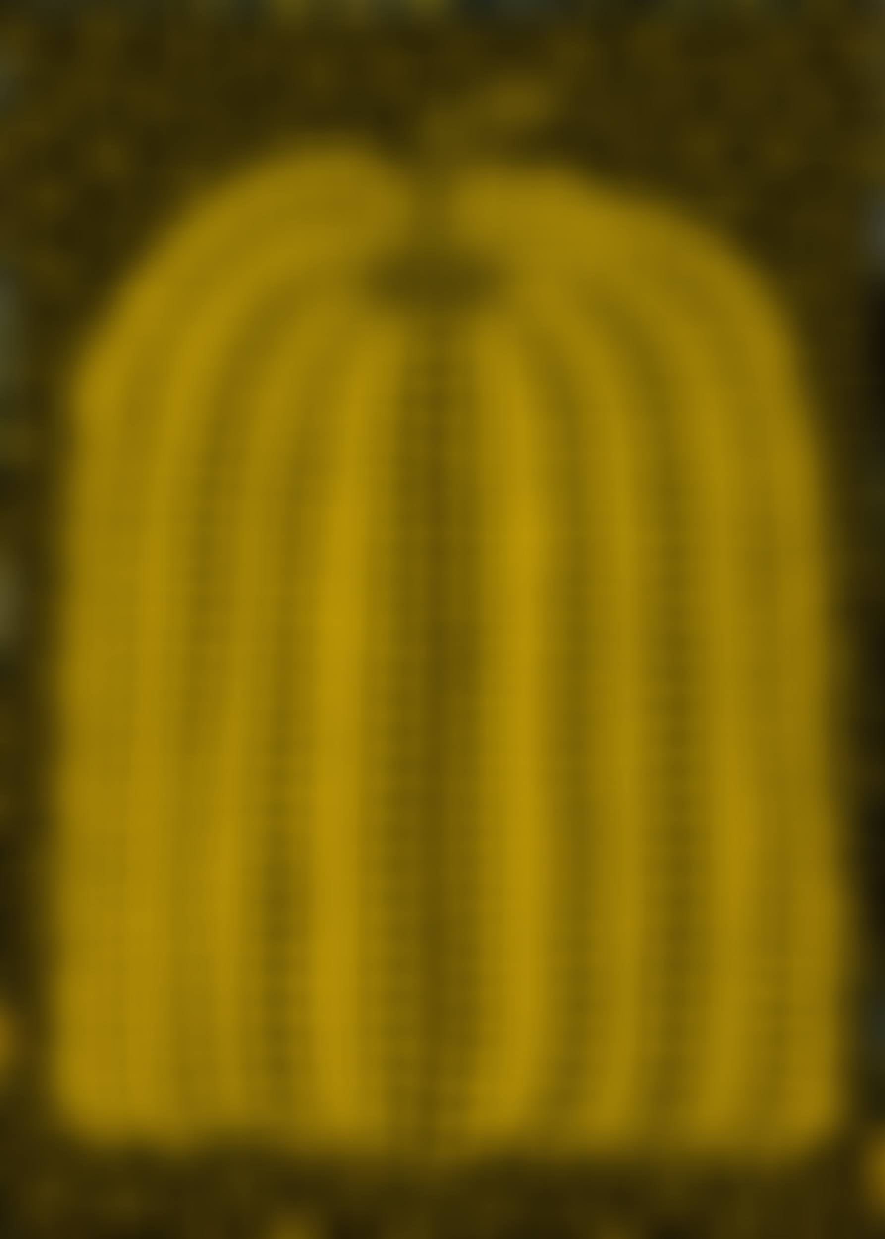Pumpkin (preview)