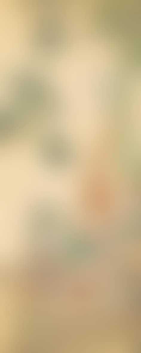 Phoenixes (preview)