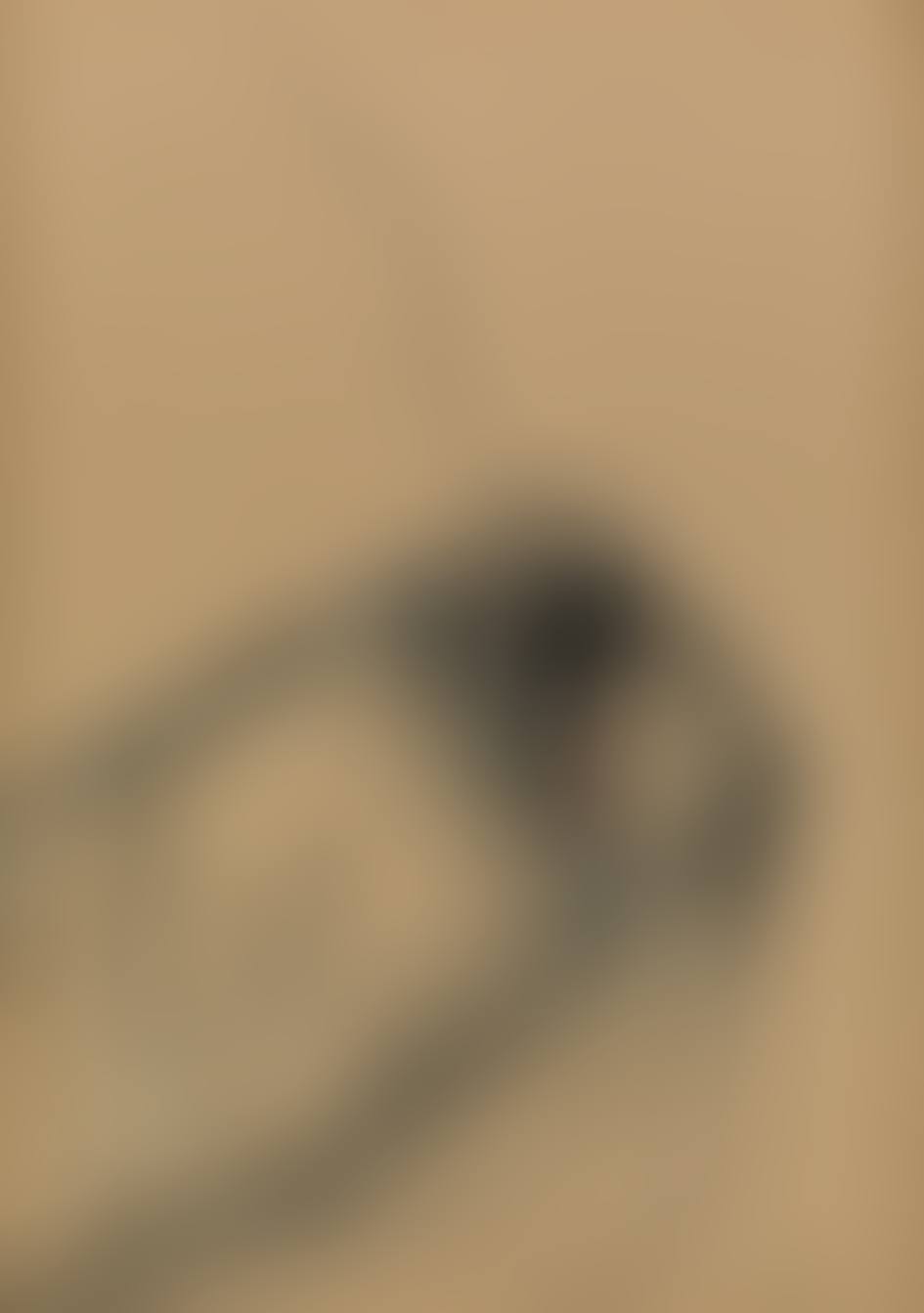 Sleep (preview)