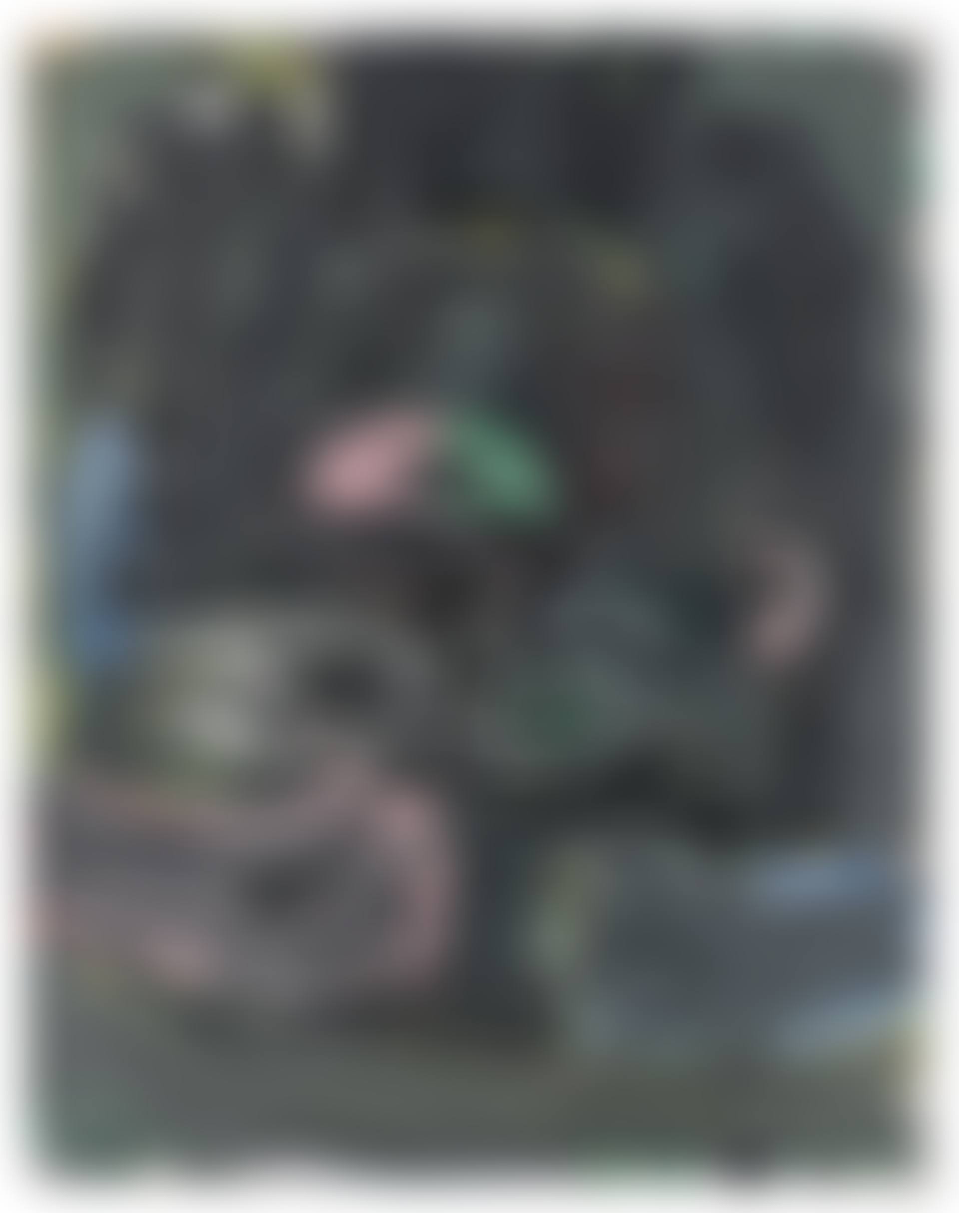 Schwarzer Kopf mit blauem Ohr (Black Head with Blue Ear) (preview)
