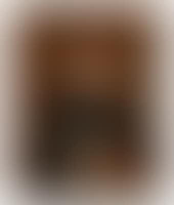 Portrait of a young scholar, half-length (preview)
