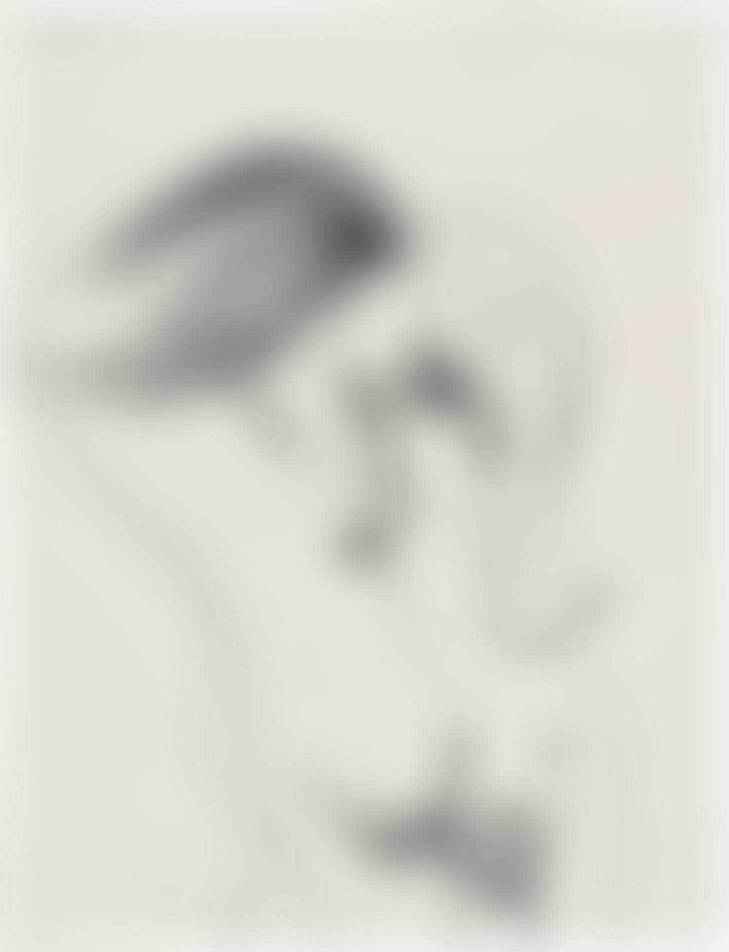 Female Nude Composition (preview)