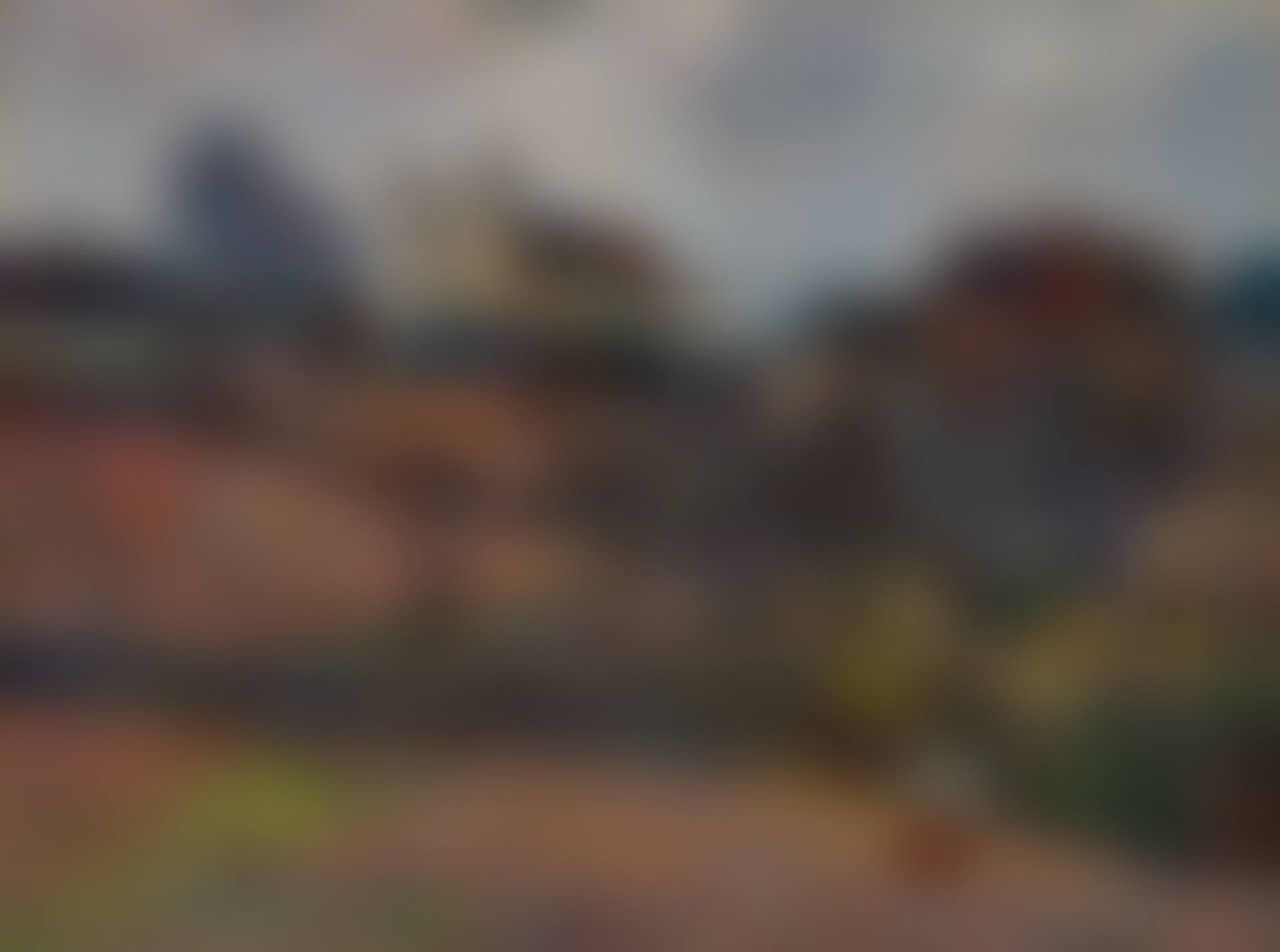 Vue de Rouen (preview)