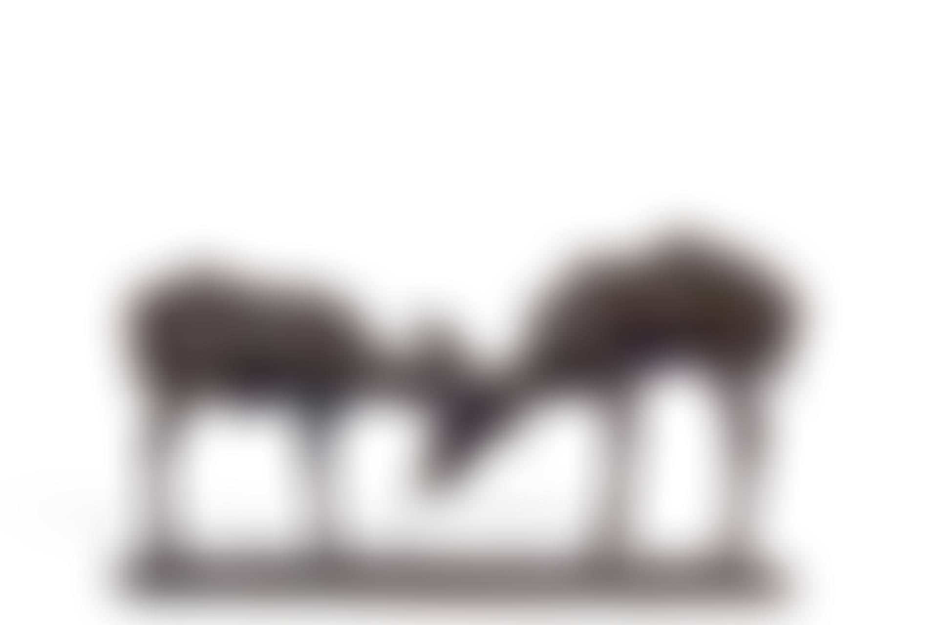 Petites Antilopes goudou 'deux amis' (preview)