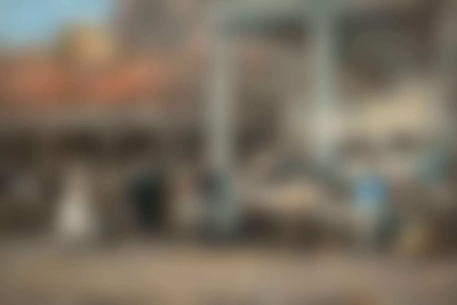 L'ancien marché aux poissons à Bruxelles (preview)